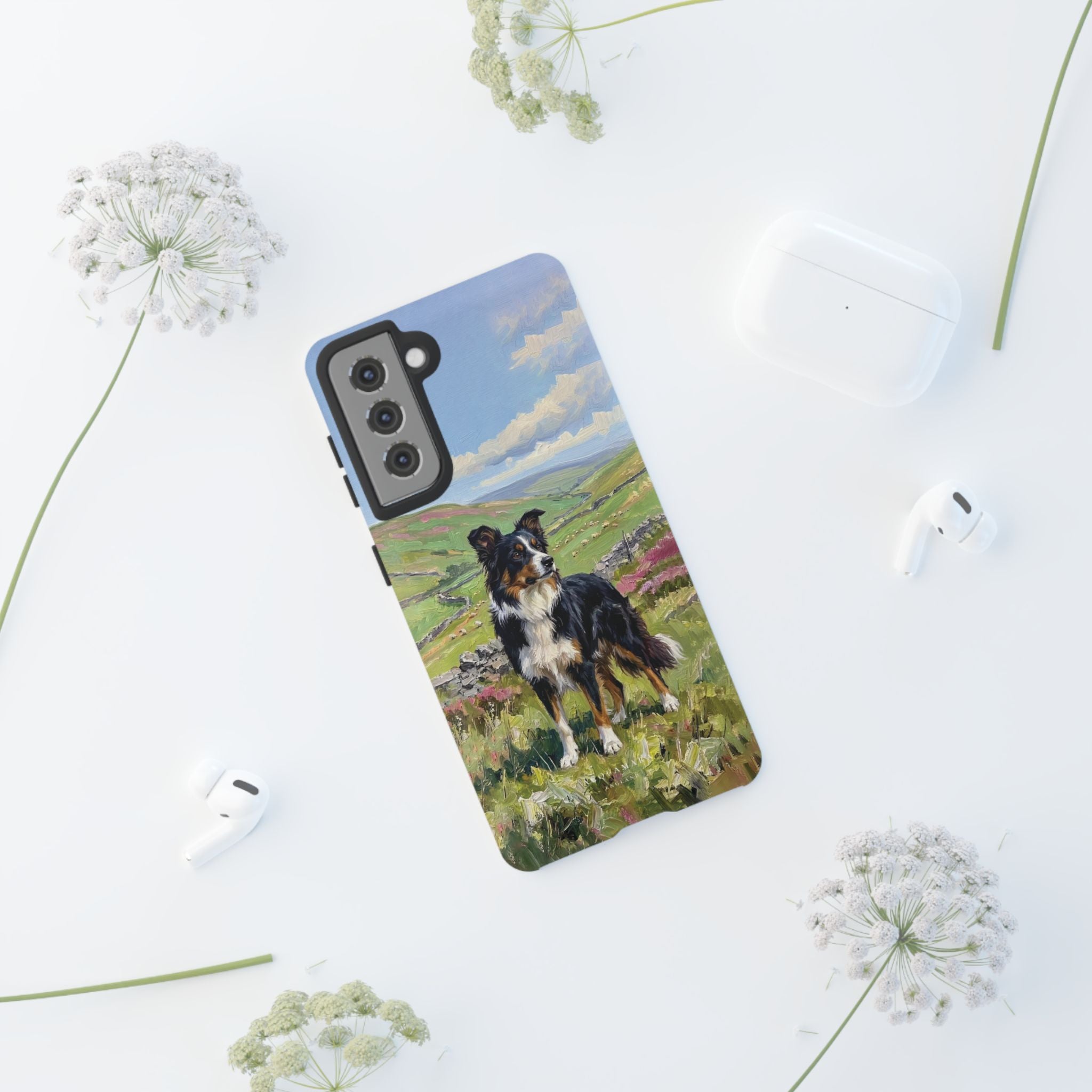 The Border Collie