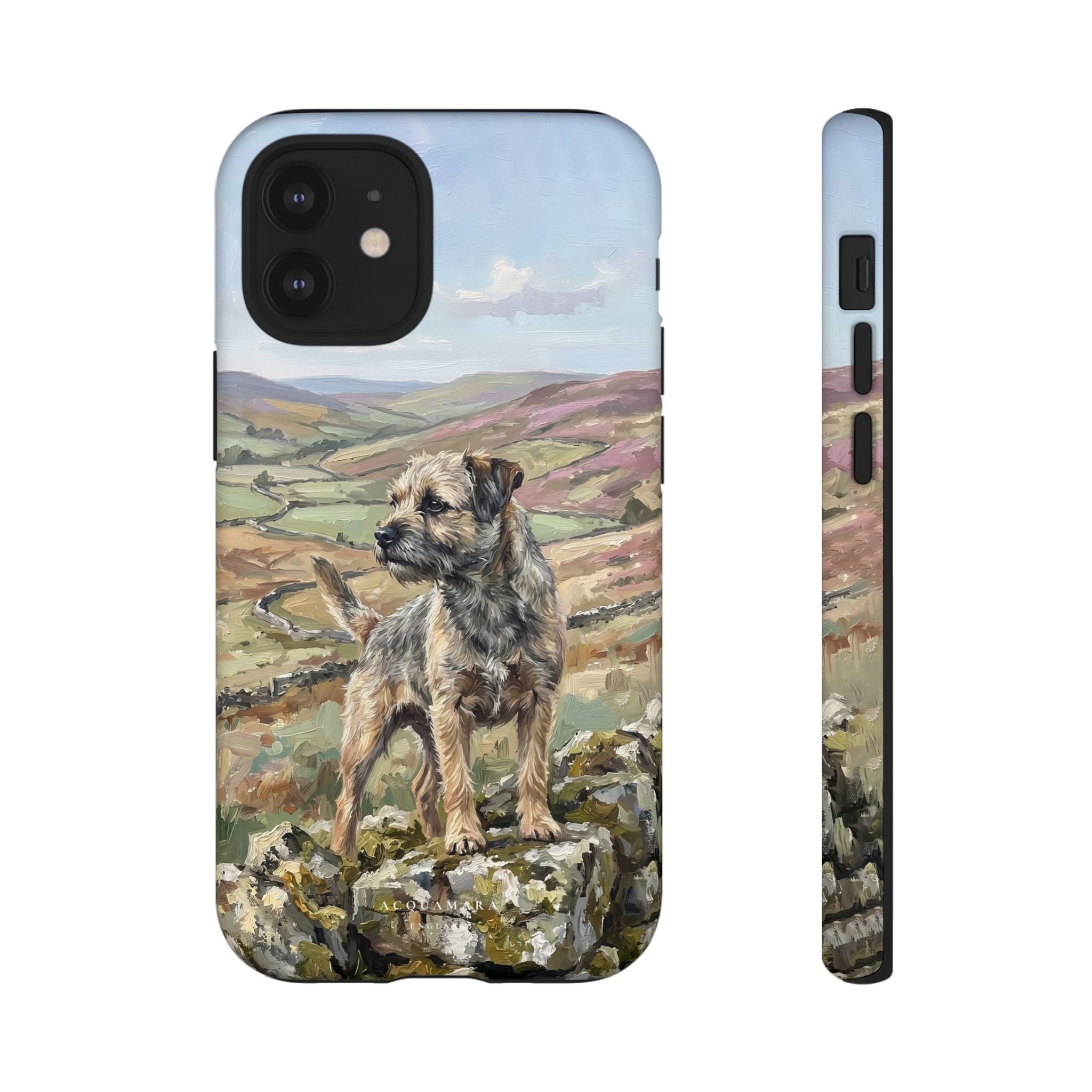 The Border Terrier (Grizzle and Tan)