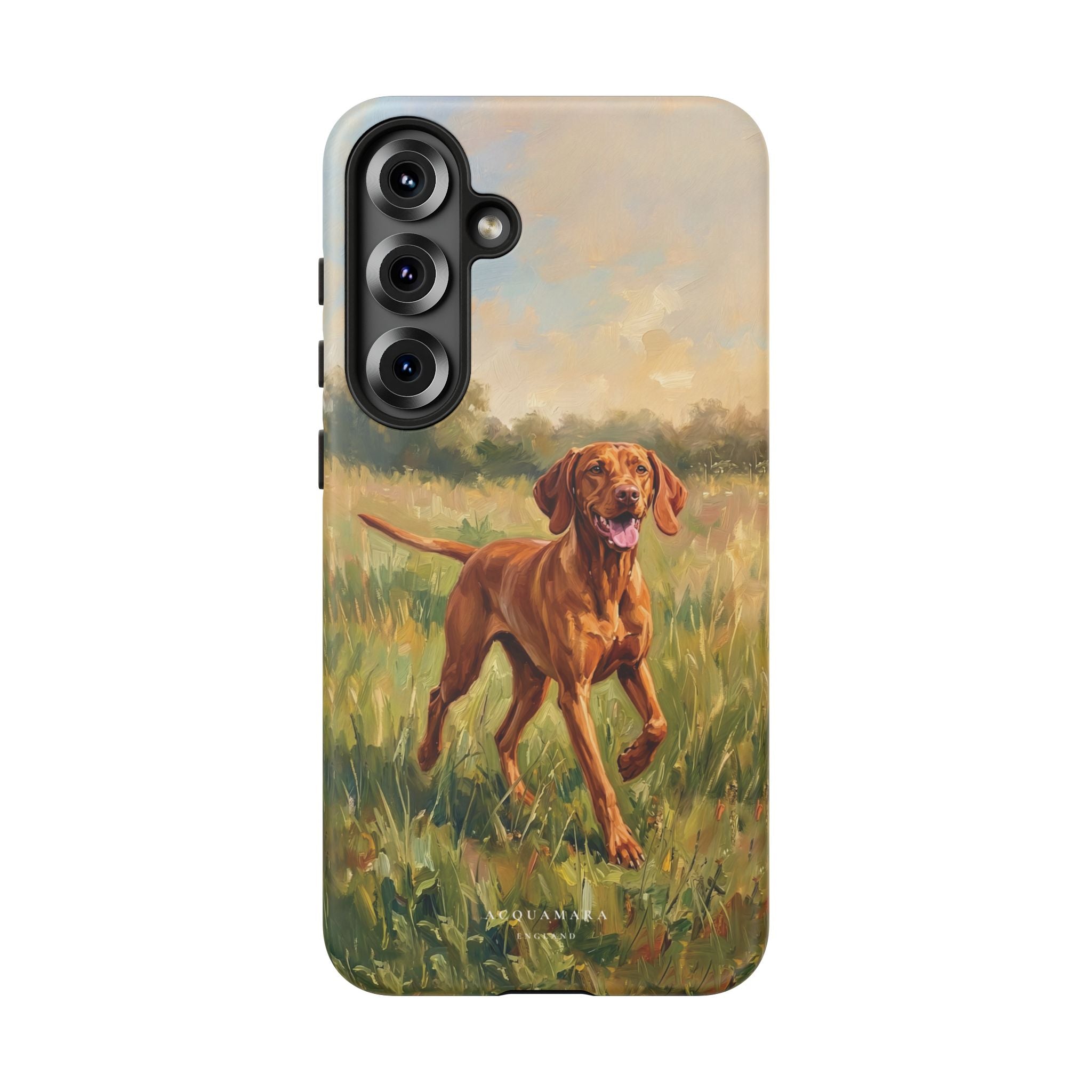 The Hungarian Vizsla