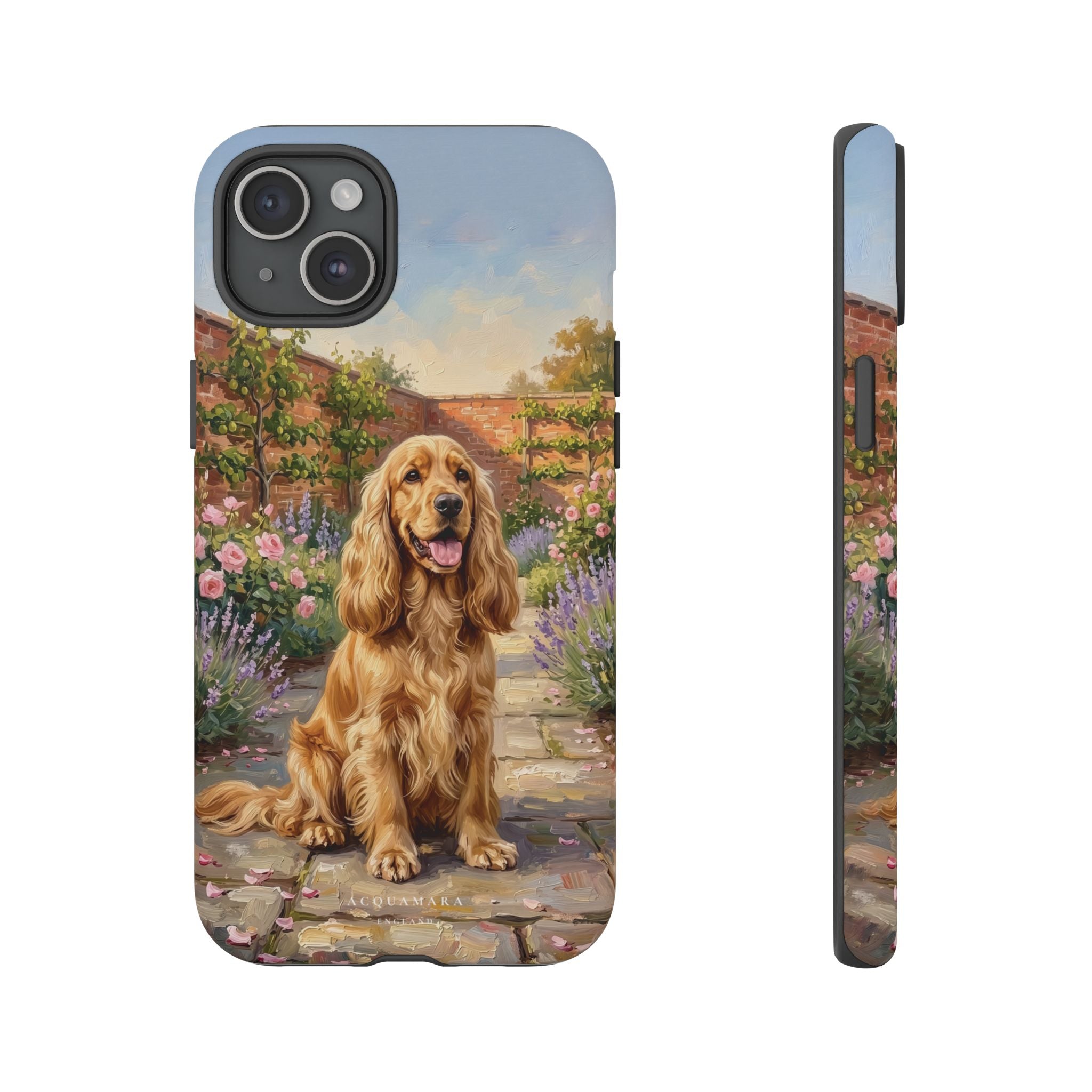 The Show Cocker (Golden)