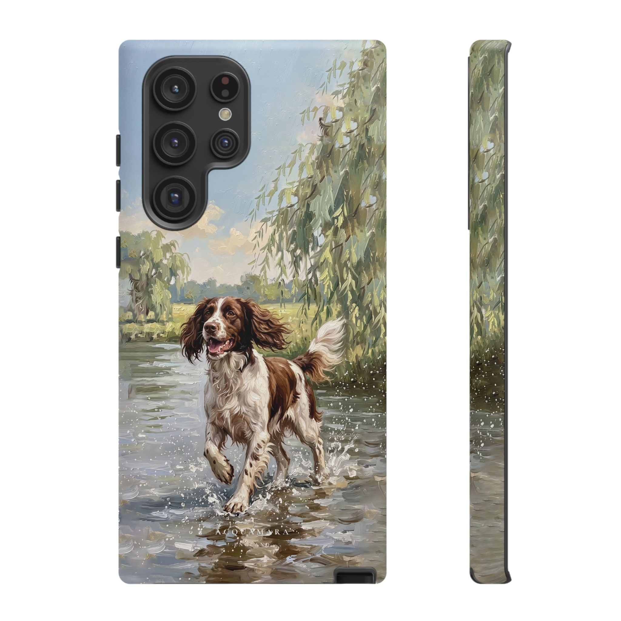 The Springer Spaniel (Liver and White)