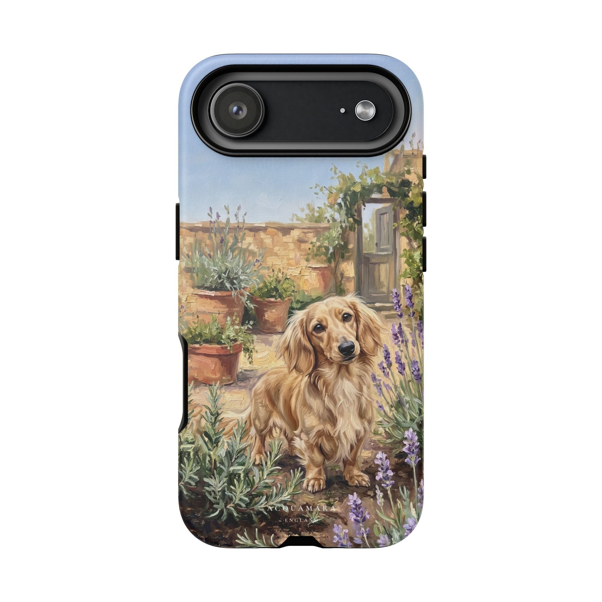 The Dachshund (Blonde long hair)