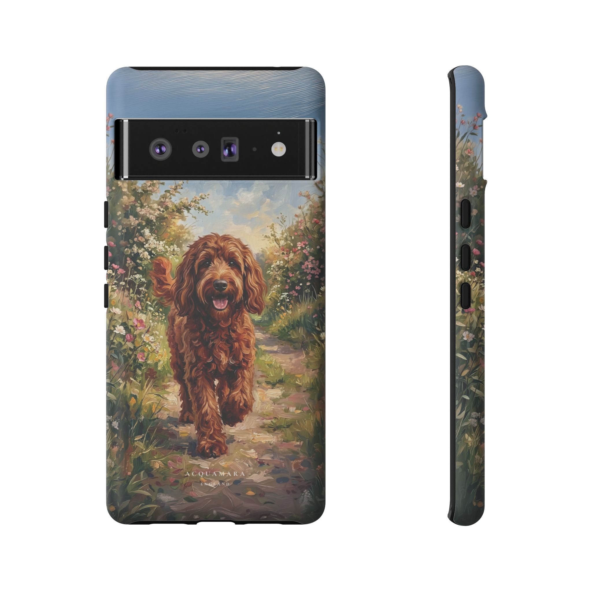 The Goldendoodle