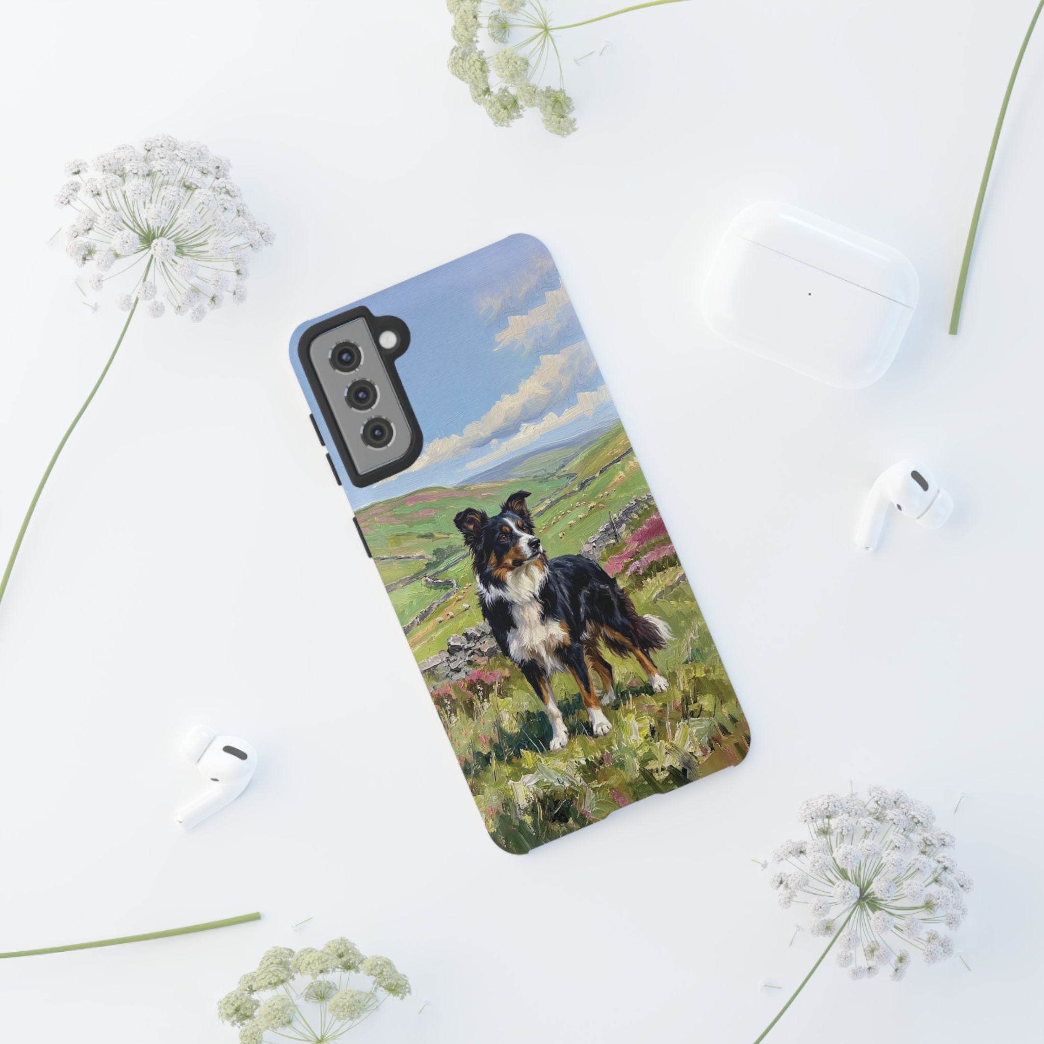 The Border Collie