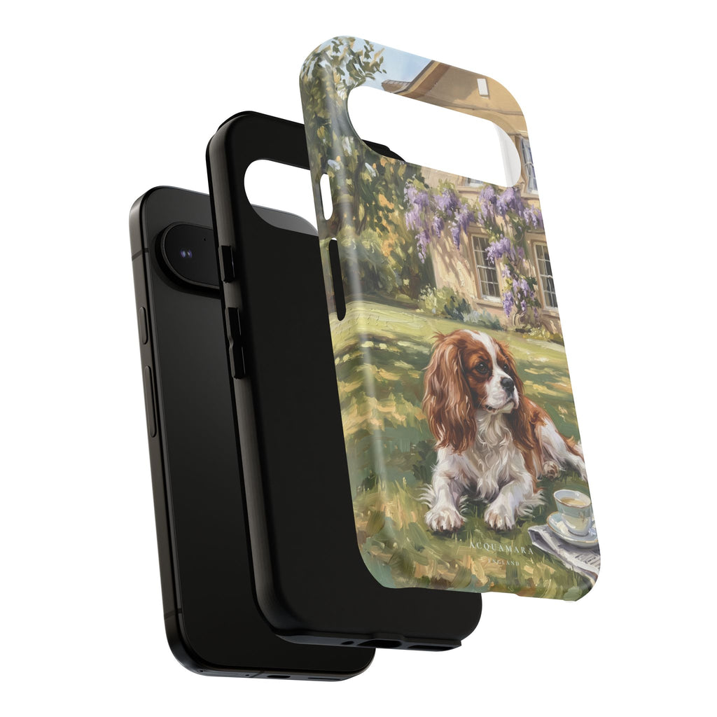 The Cavalier King Charles Spaniel