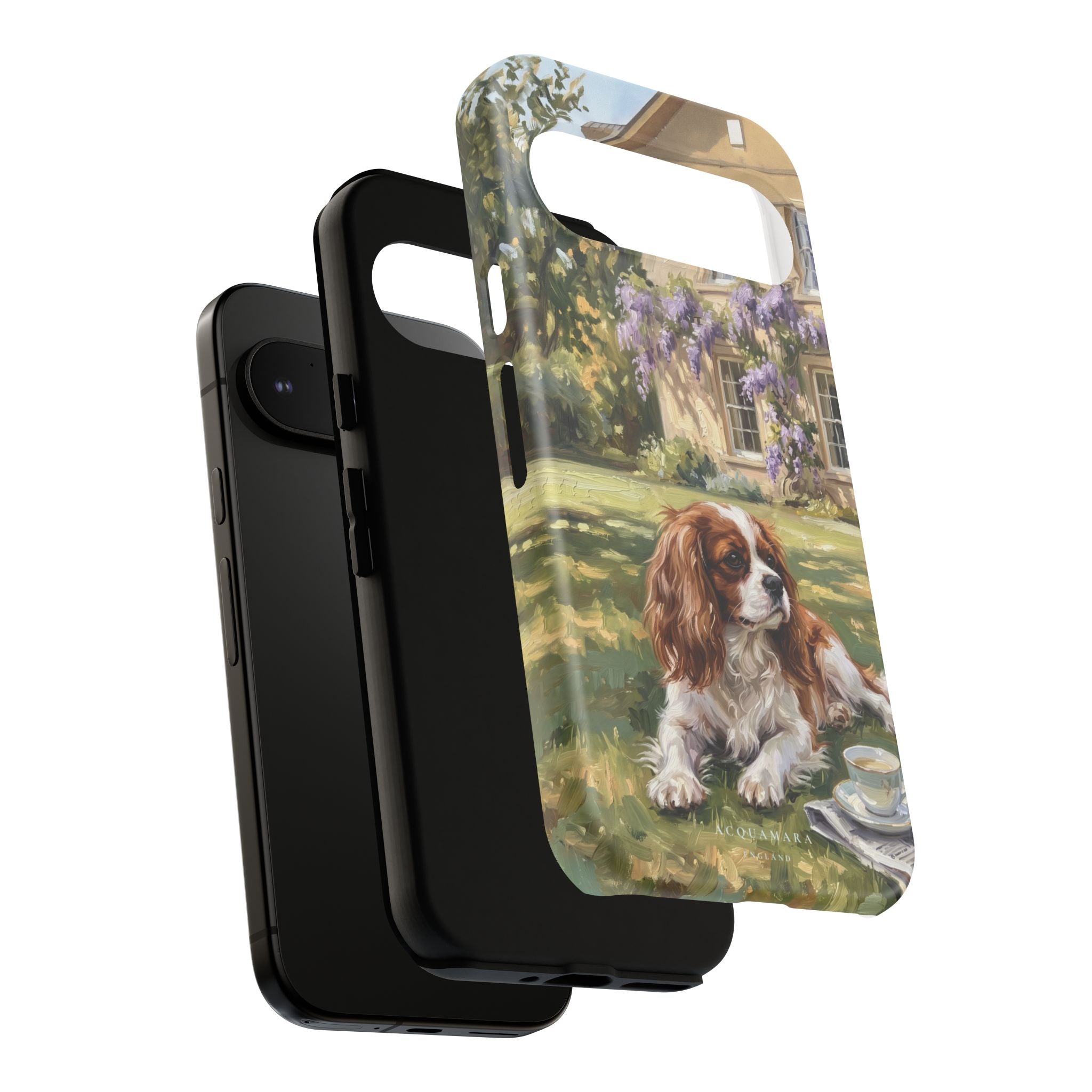 The Cavalier King Charles Spaniel
