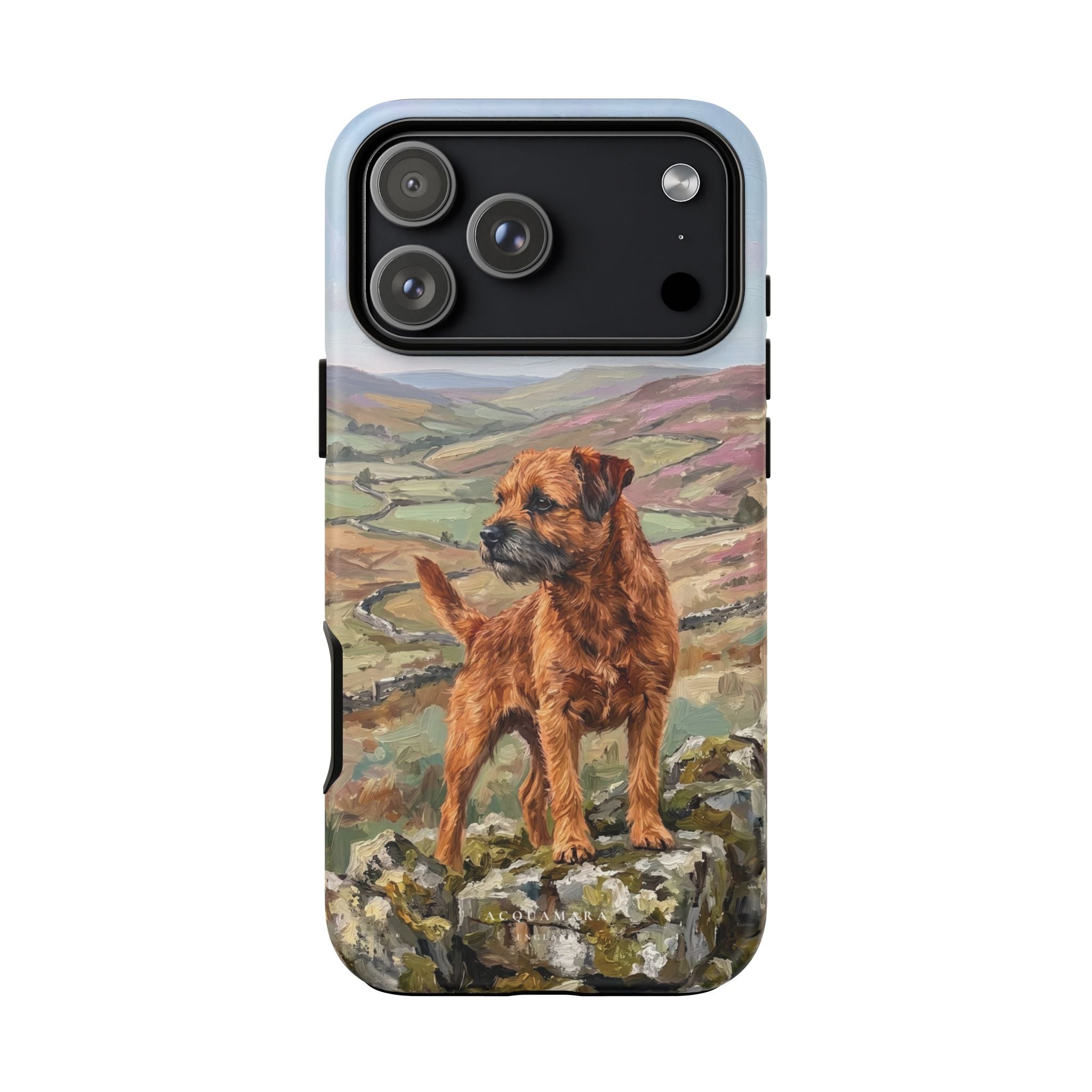 The Border Terrier (Red)