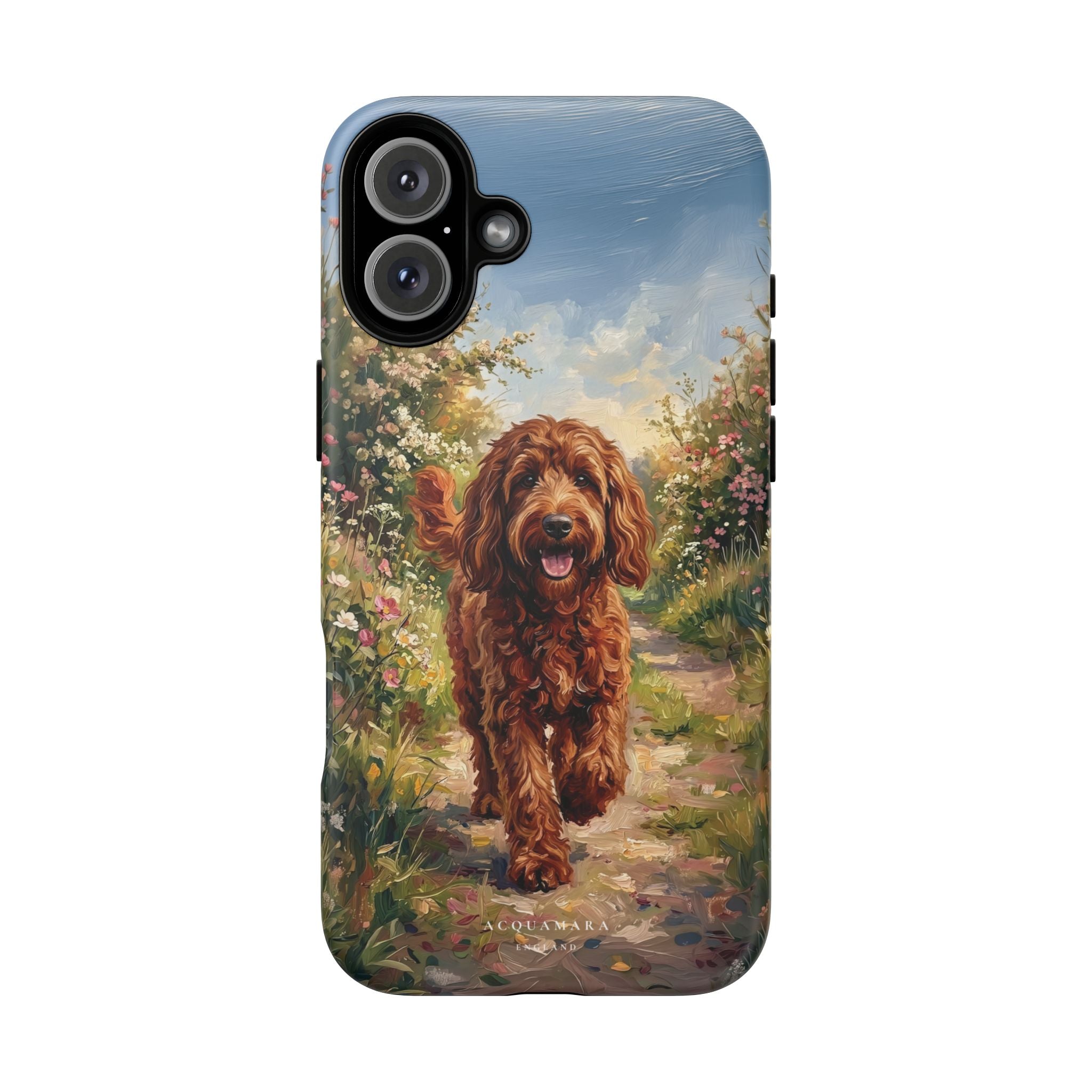 The Goldendoodle