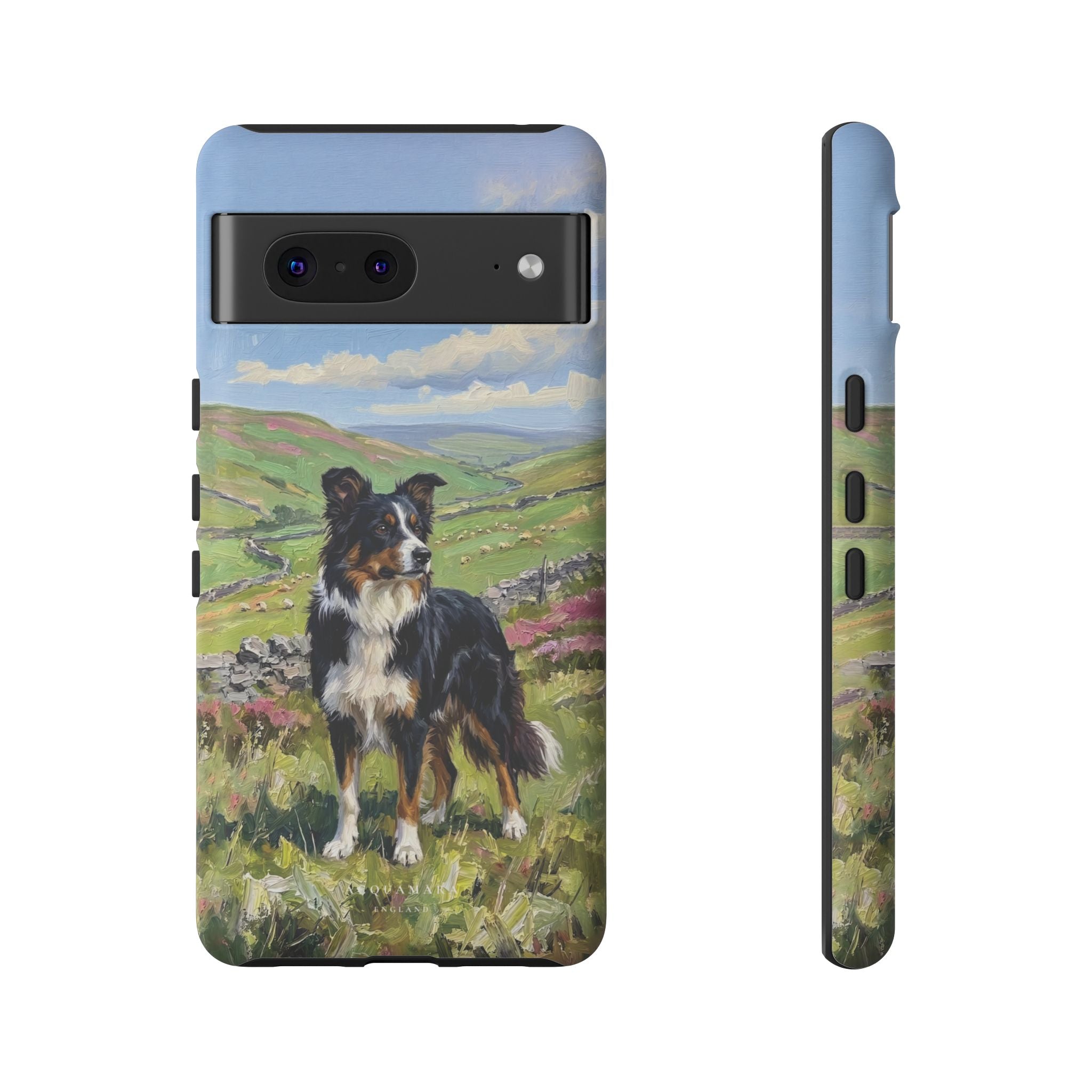 The Border Collie