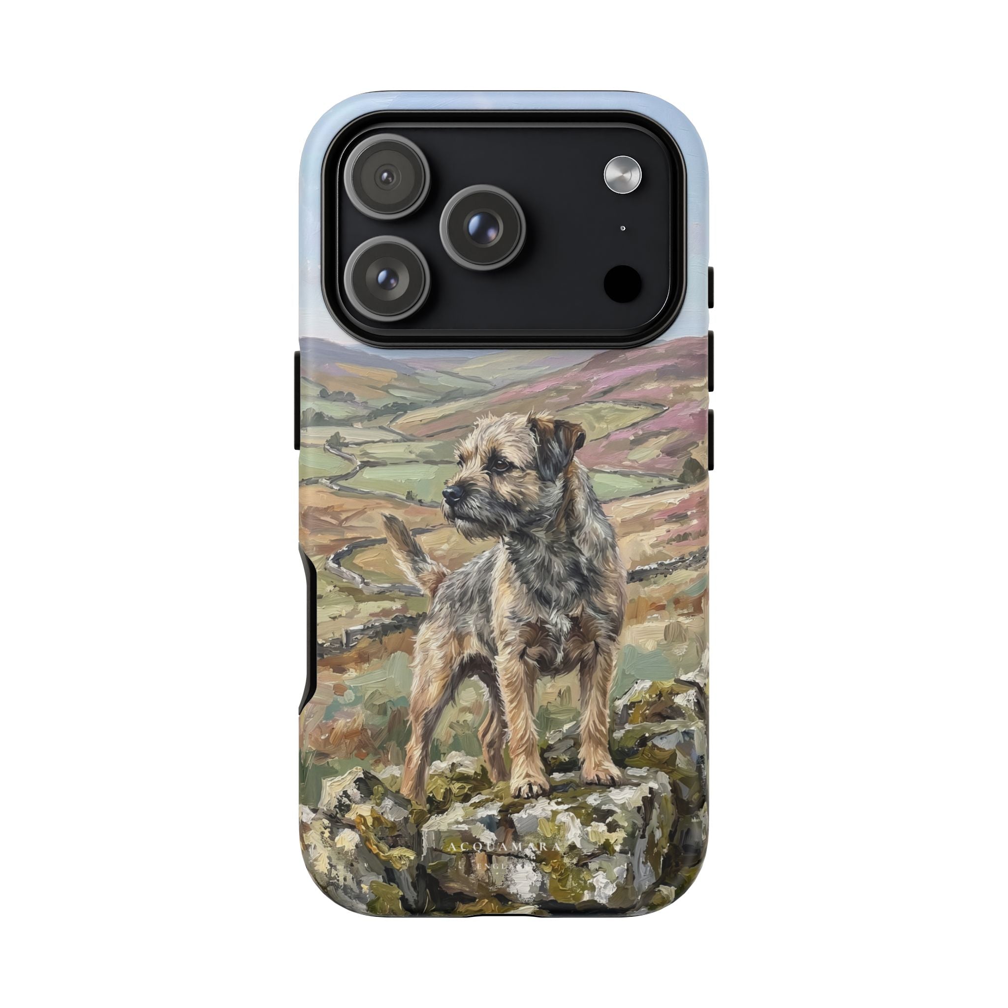 The Border Terrier (Grizzle and Tan)