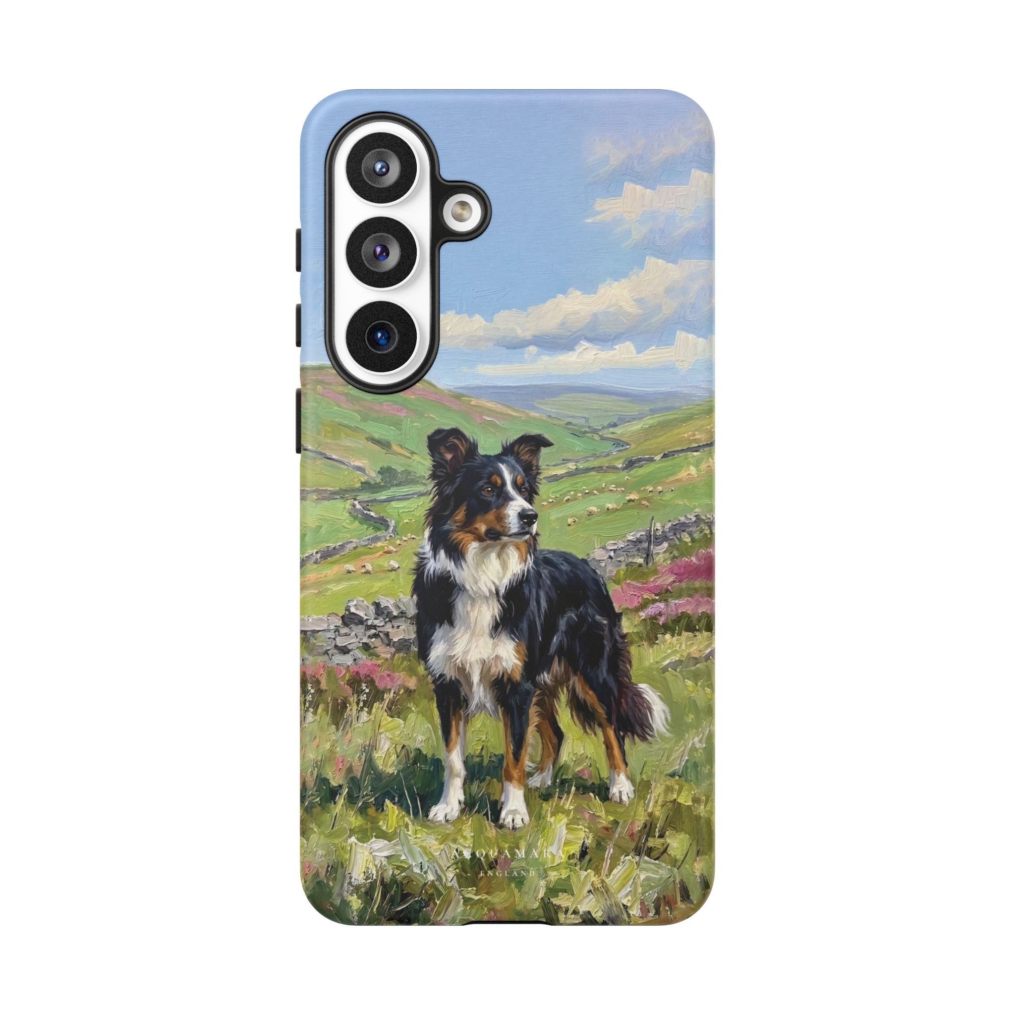 The Border Collie