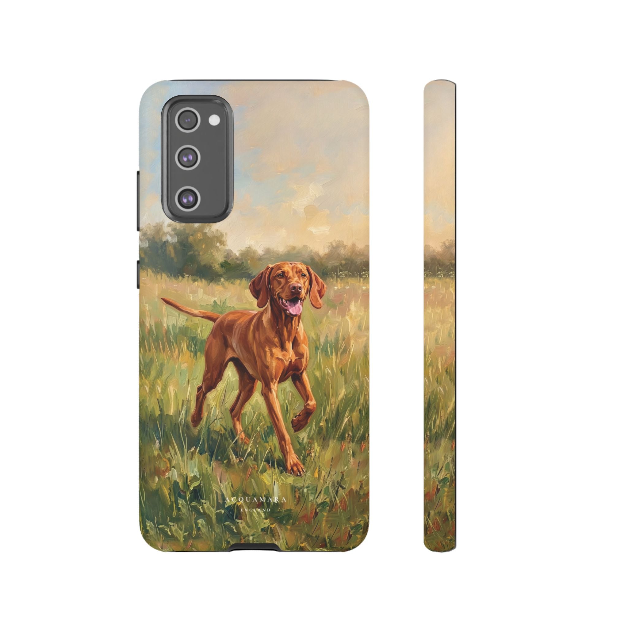 The Hungarian Vizsla