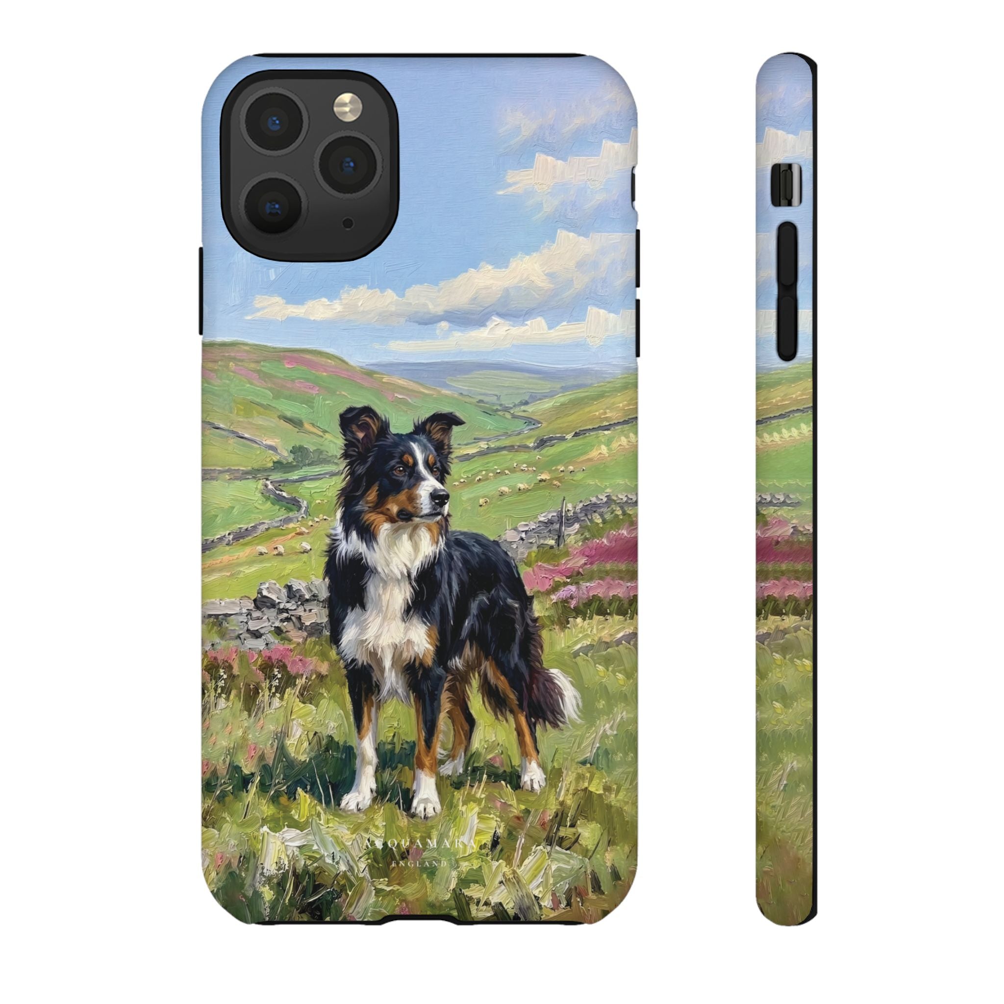 The Border Collie