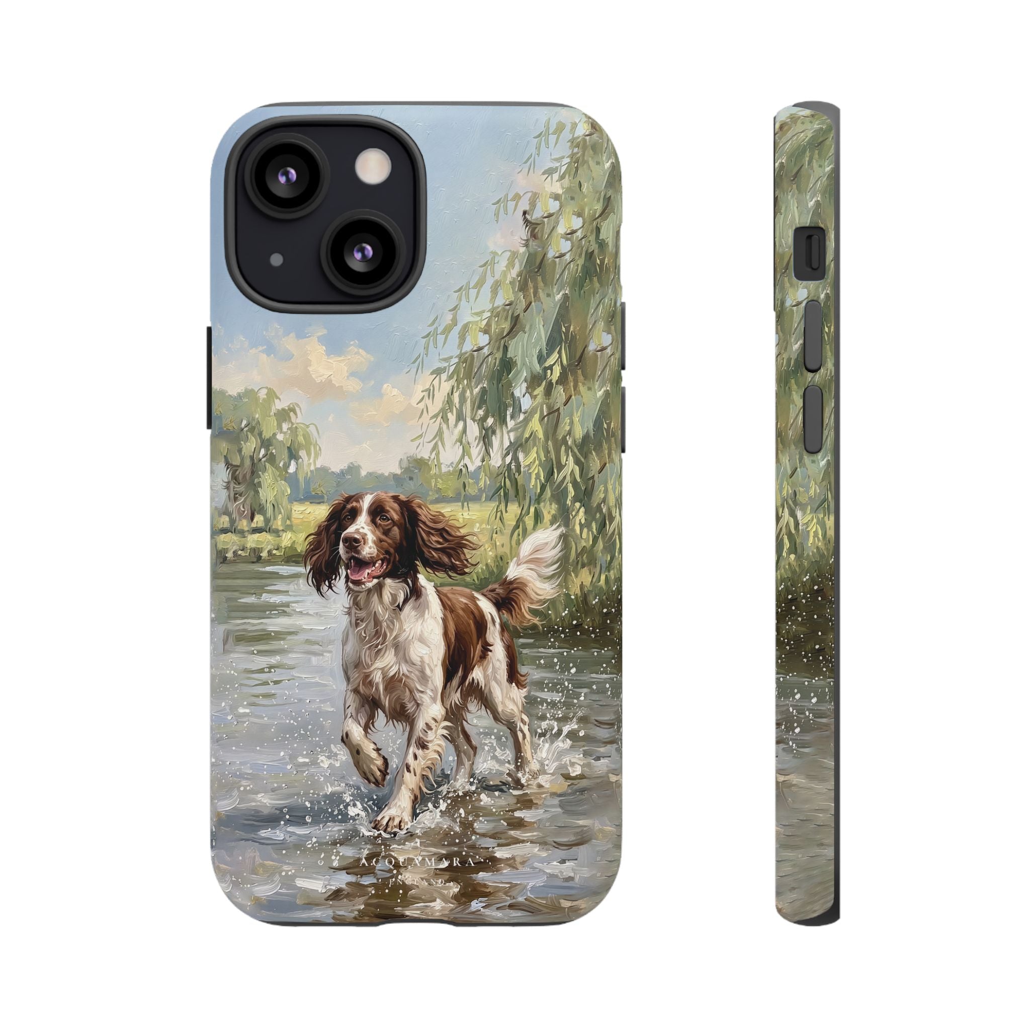 The Springer Spaniel (Liver and White)