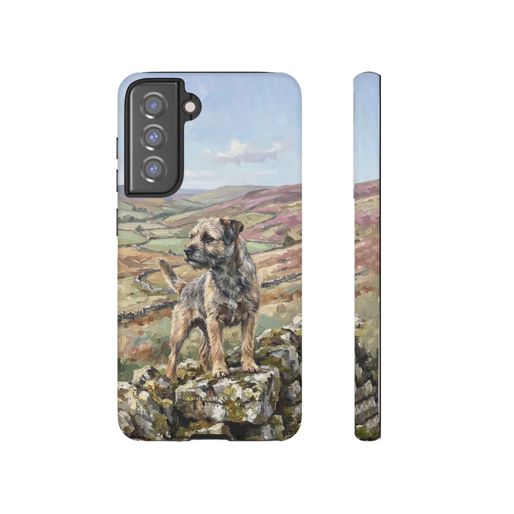 The Border Terrier (Grizzle and Tan)