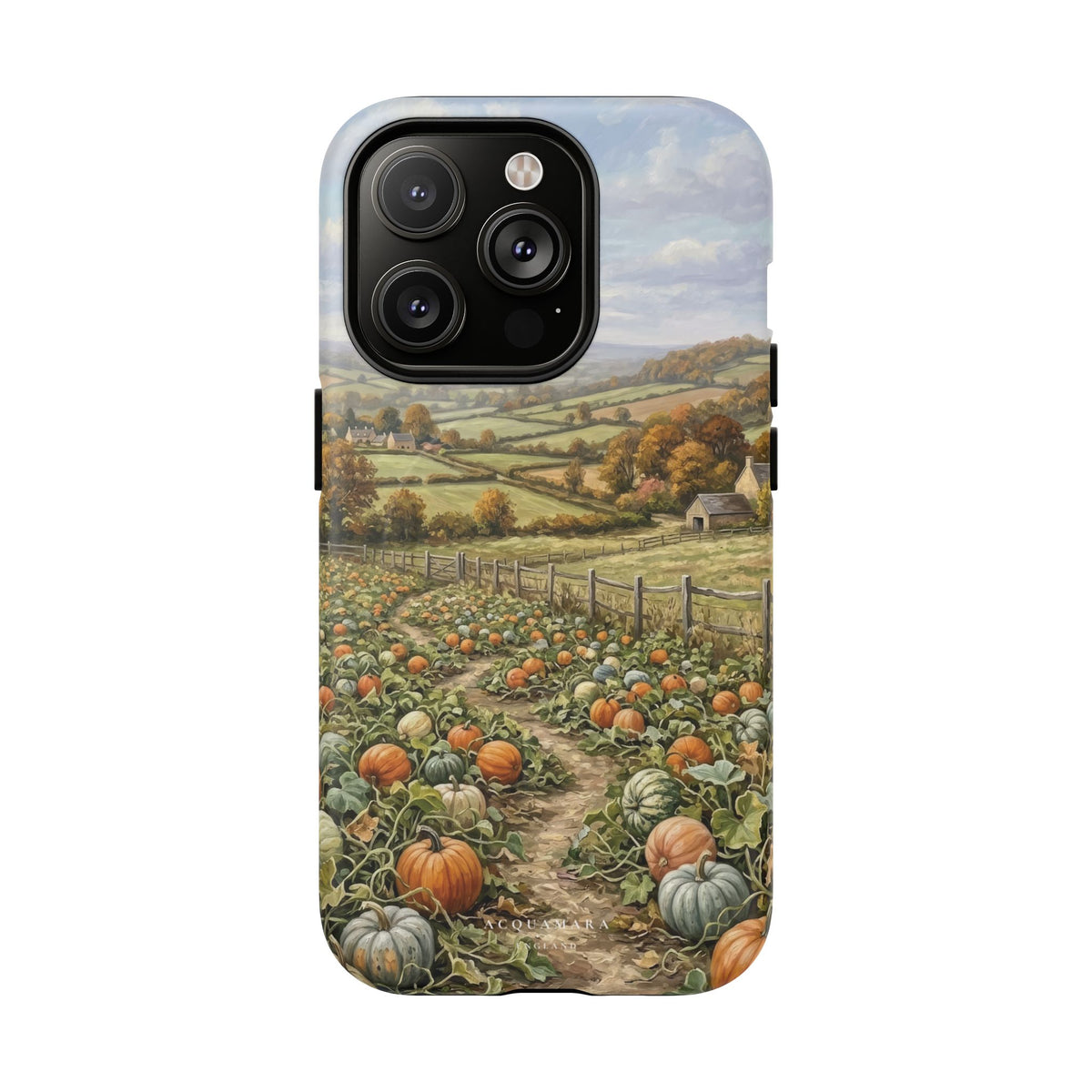 The Pumpkin Field (MagSafe)