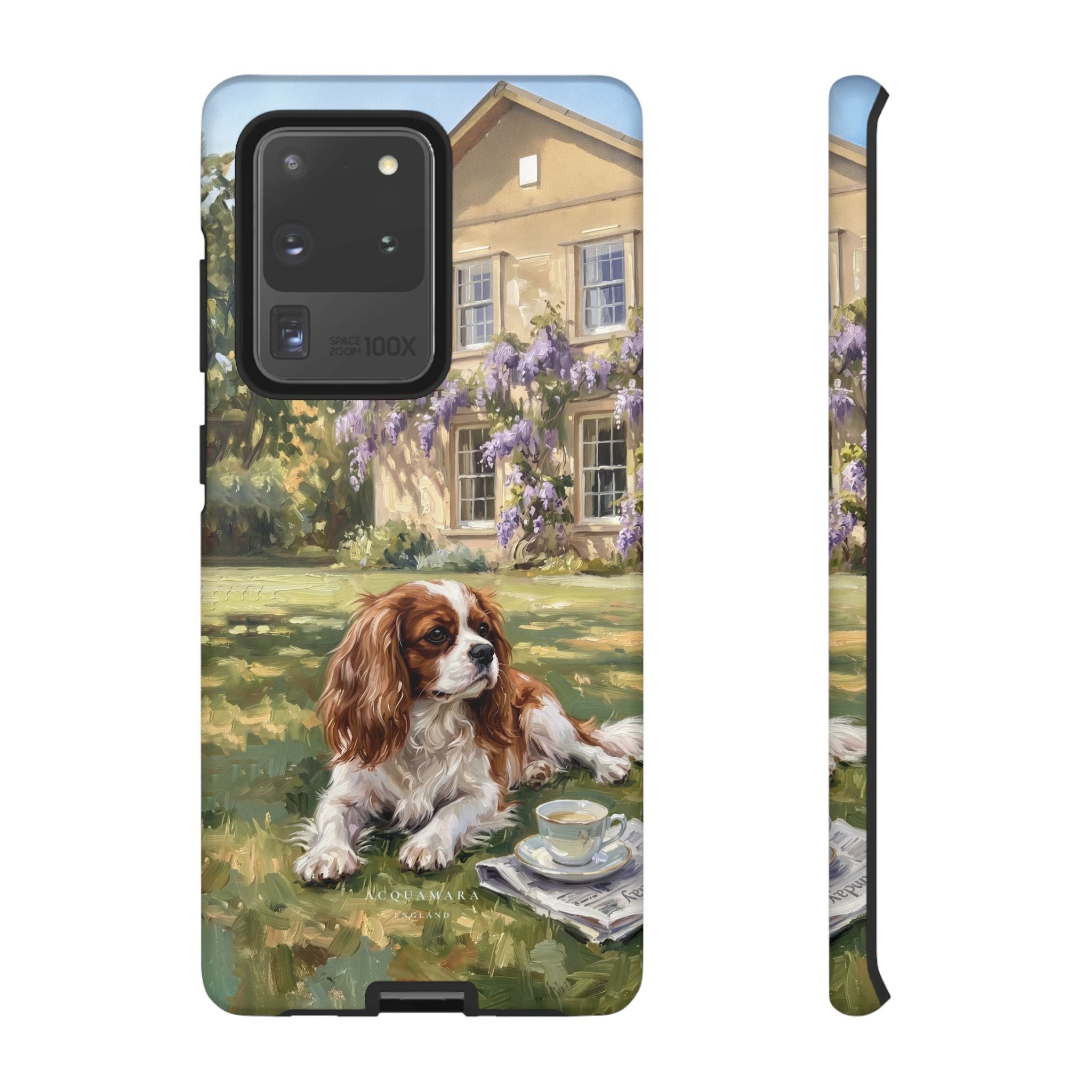 The Cavalier King Charles Spaniel