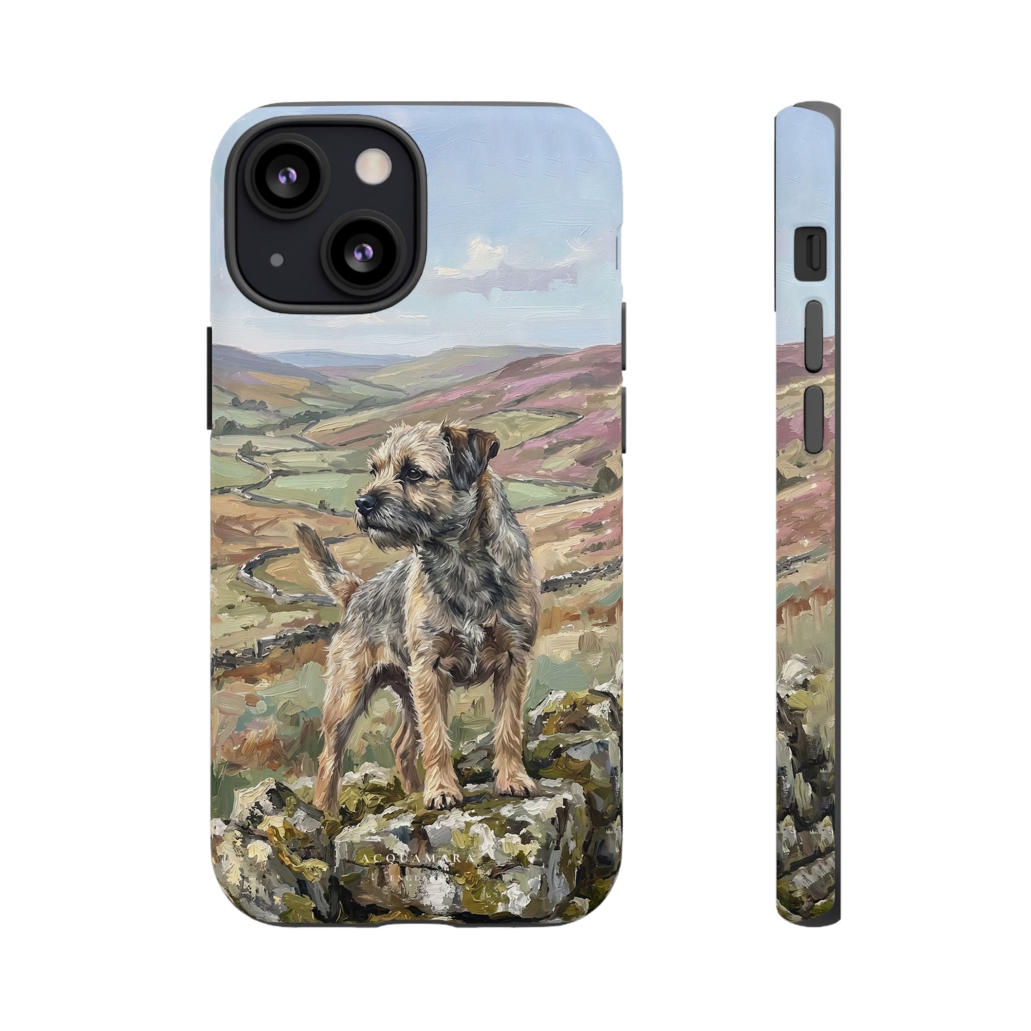 The Border Terrier (Grizzle and Tan)