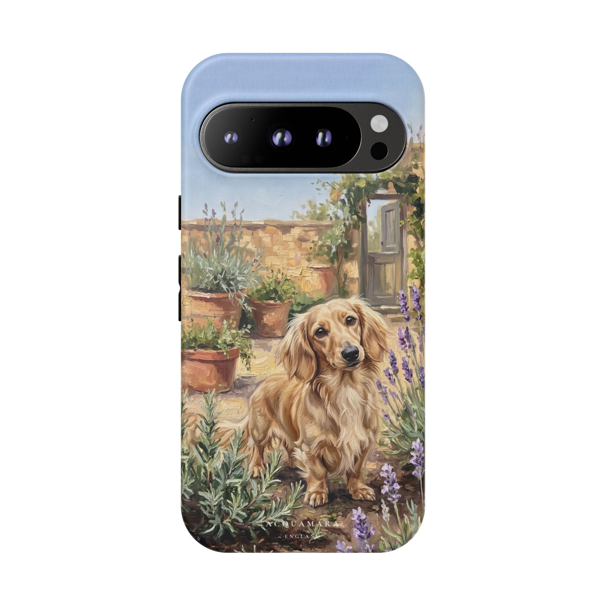 The Dachshund (Blonde long hair)