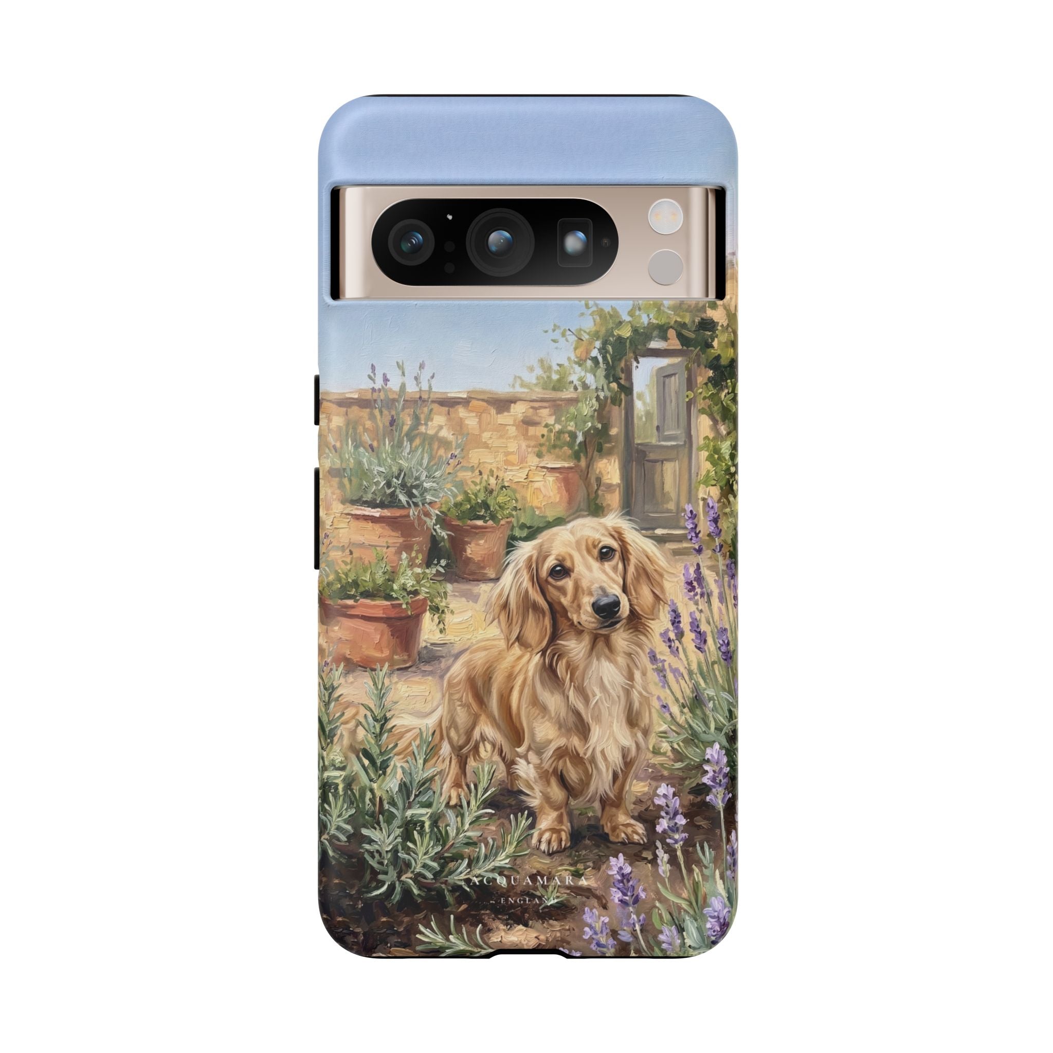 The Dachshund (Blonde long hair)