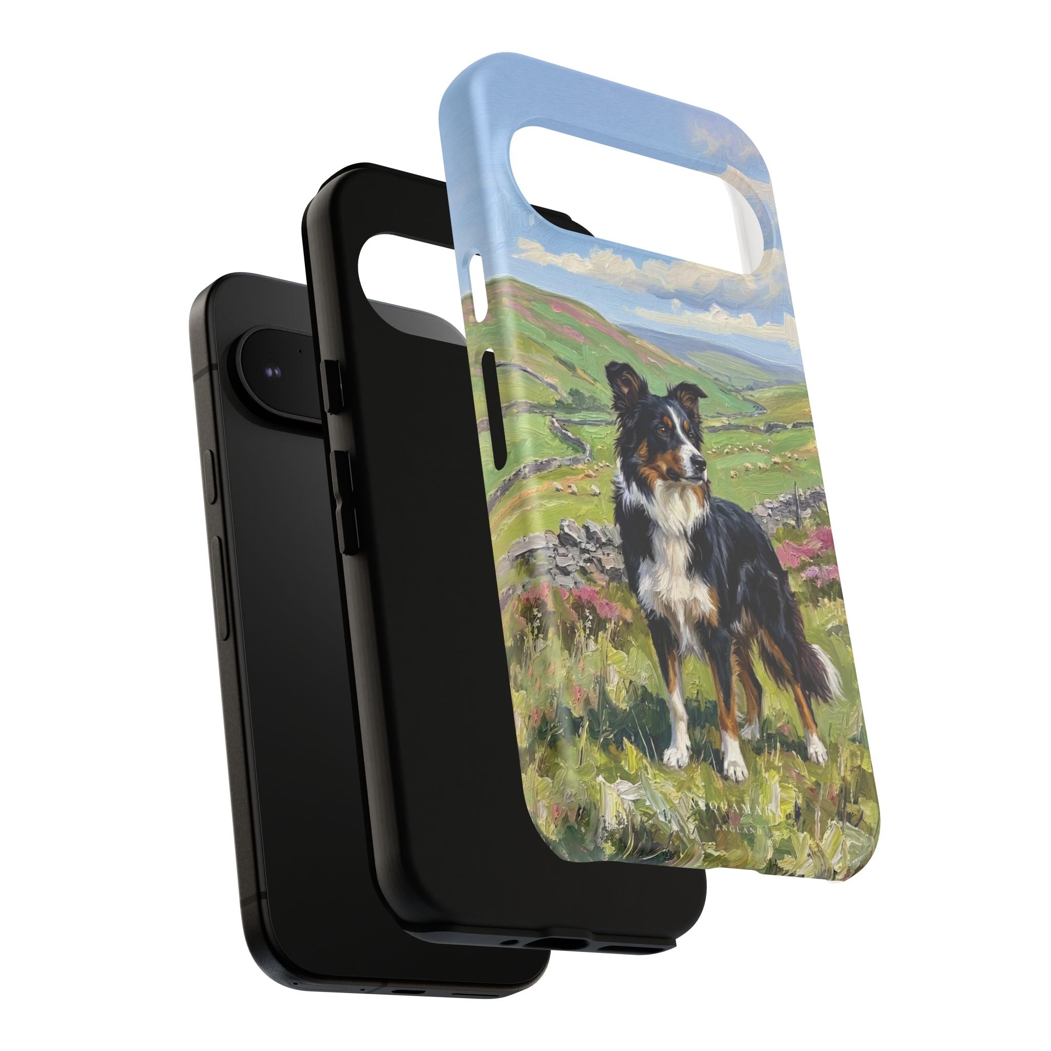 The Border Collie