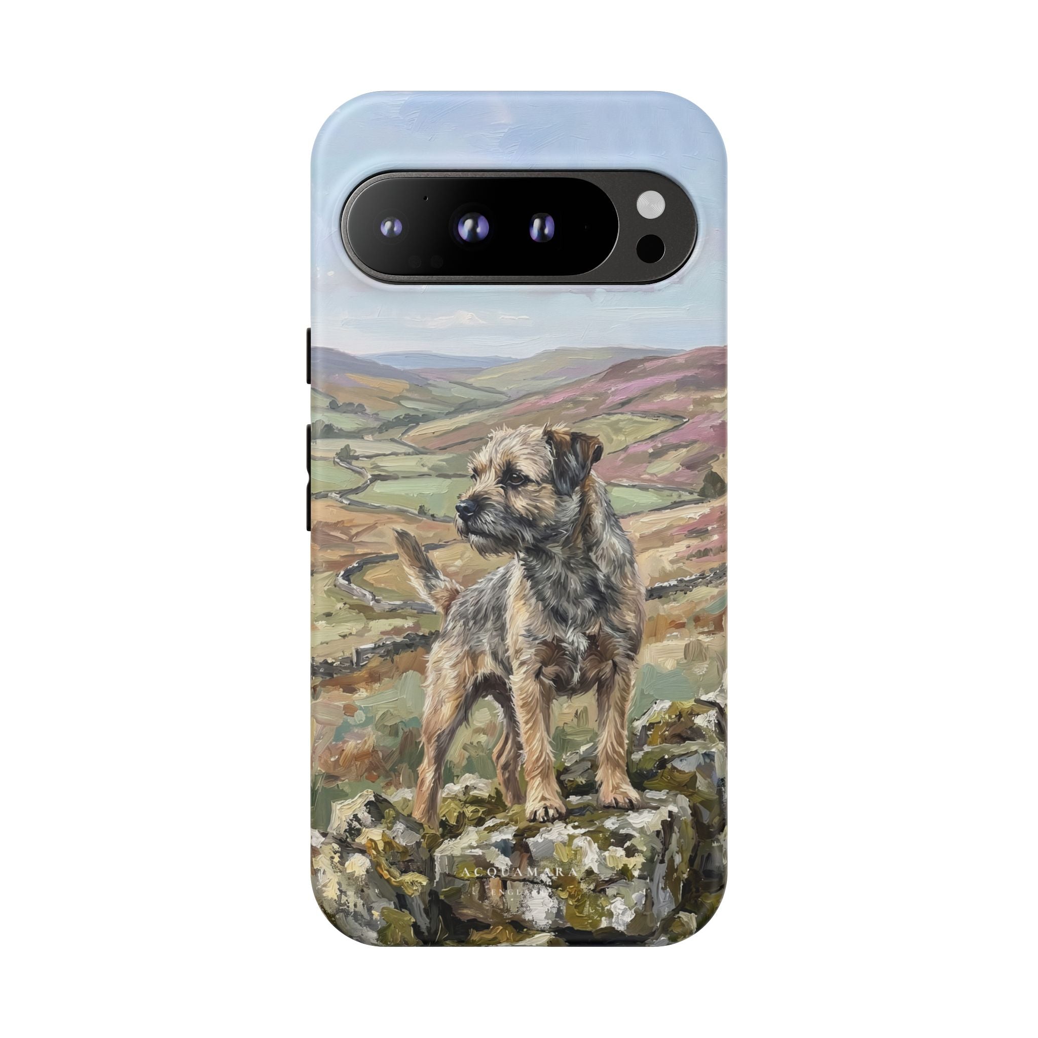 The Border Terrier (Grizzle and Tan)