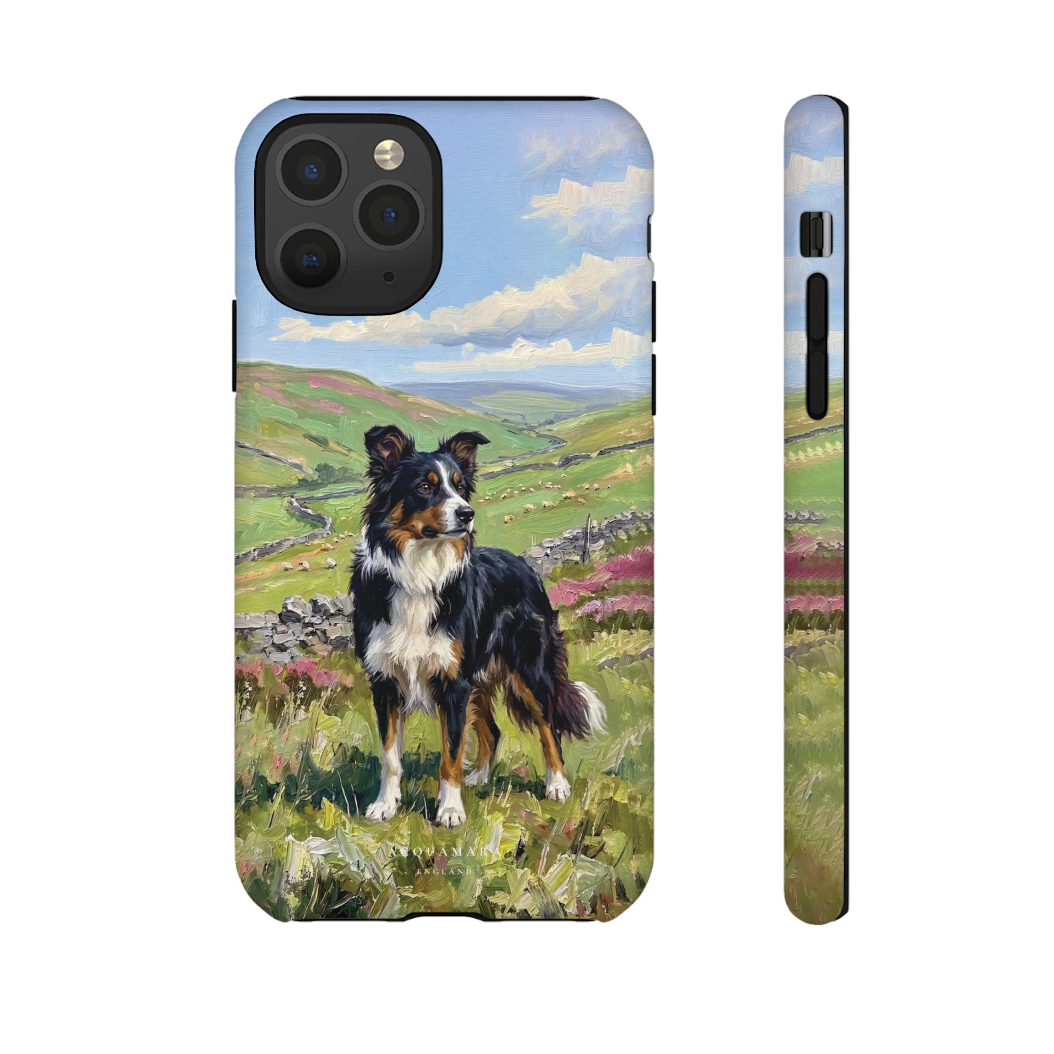 The Border Collie