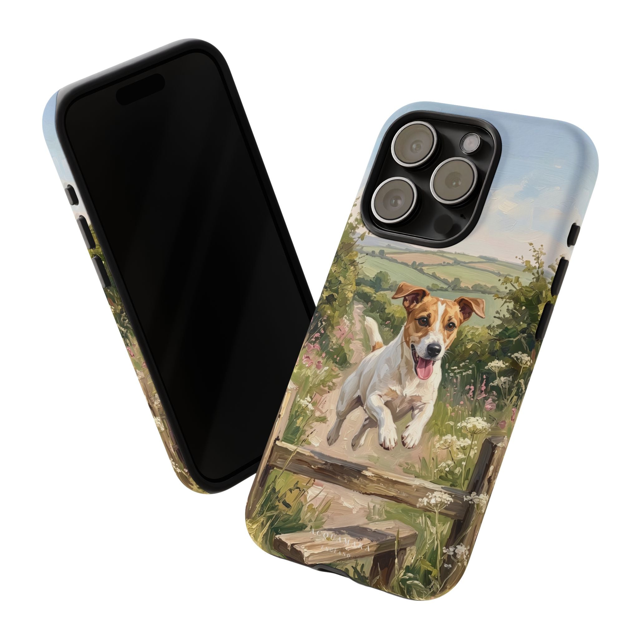 The Jack Russell (White and Tan)