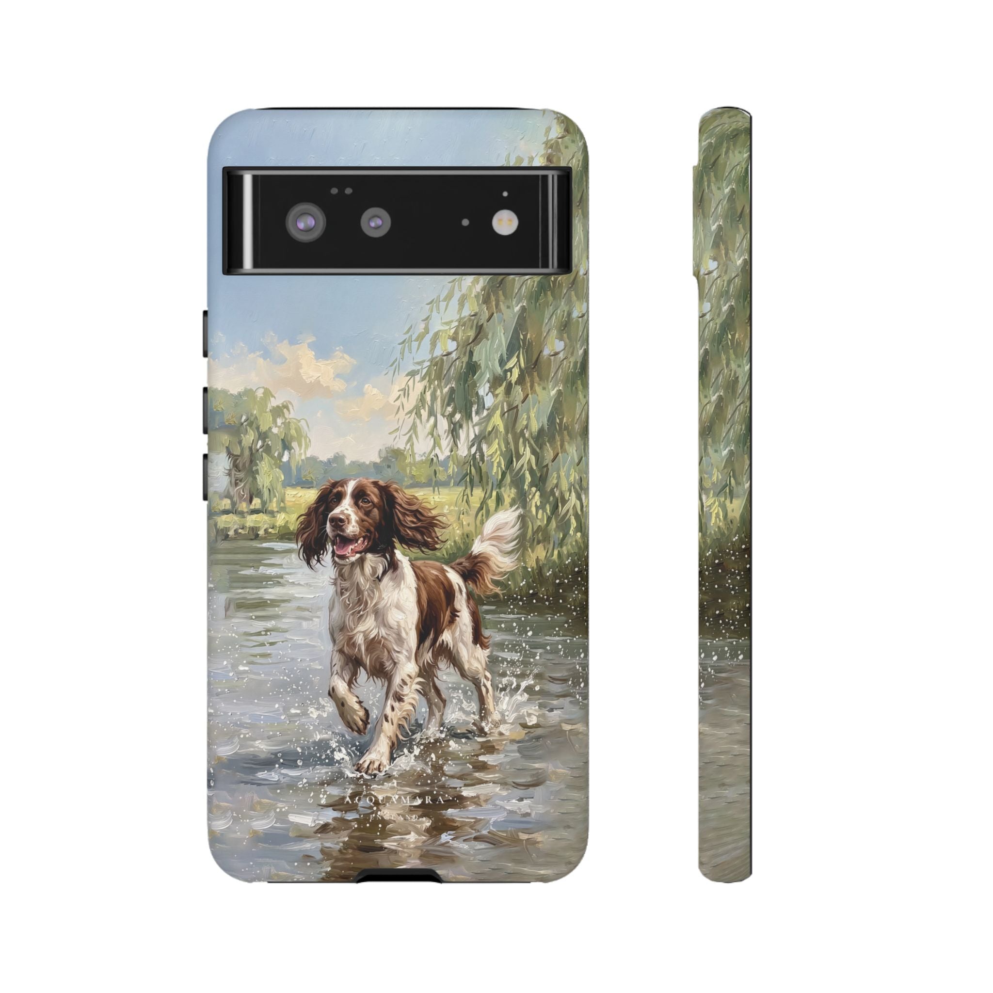 The Springer Spaniel (Liver and White)
