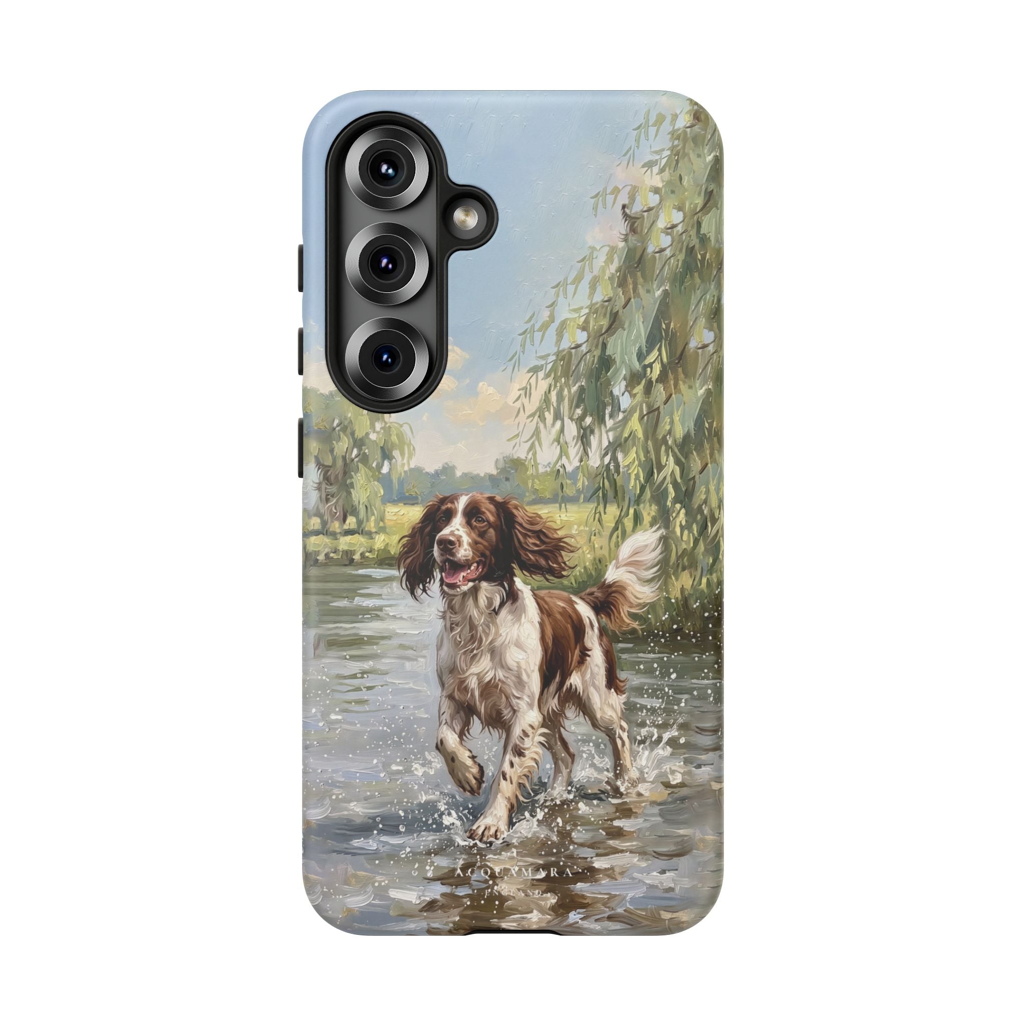 The Springer Spaniel (Liver and White)
