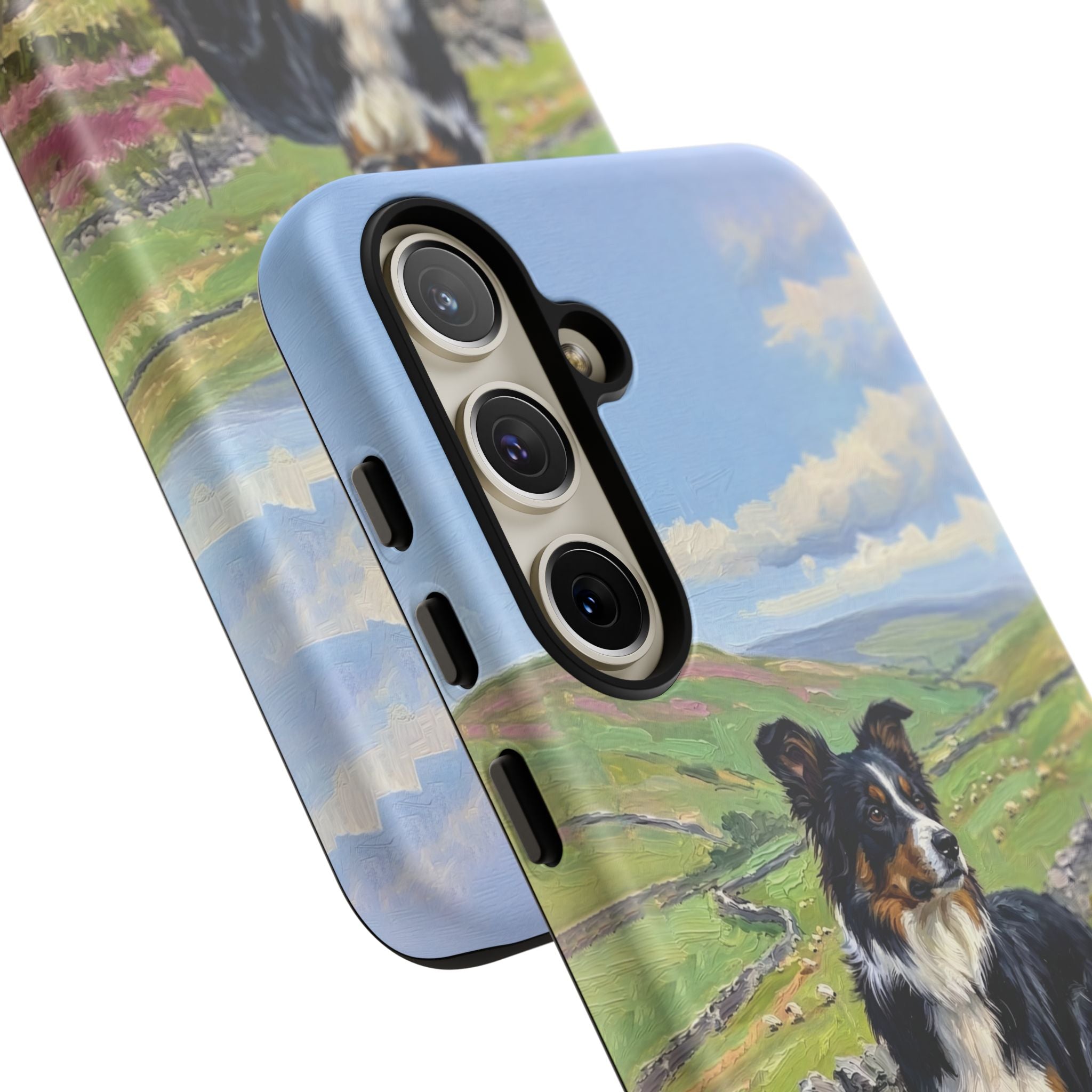 The Border Collie