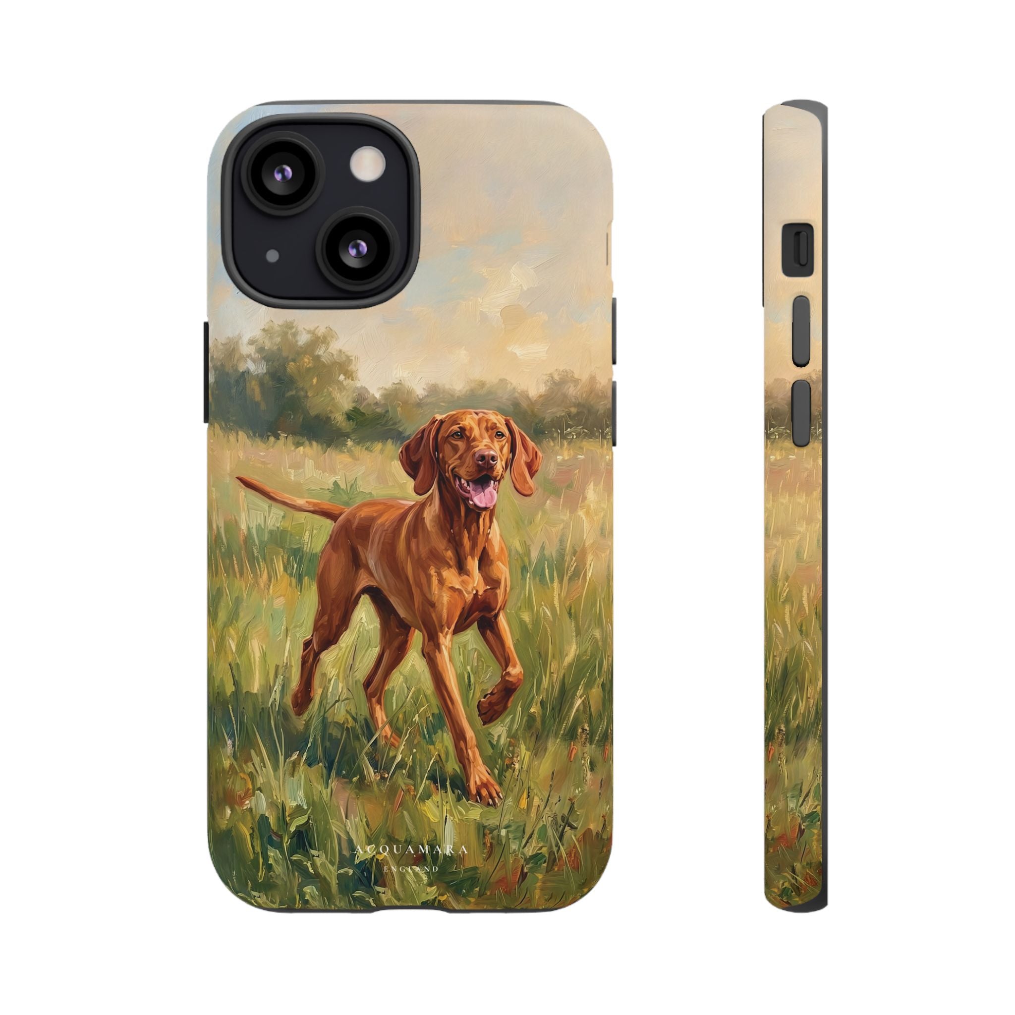 The Hungarian Vizsla