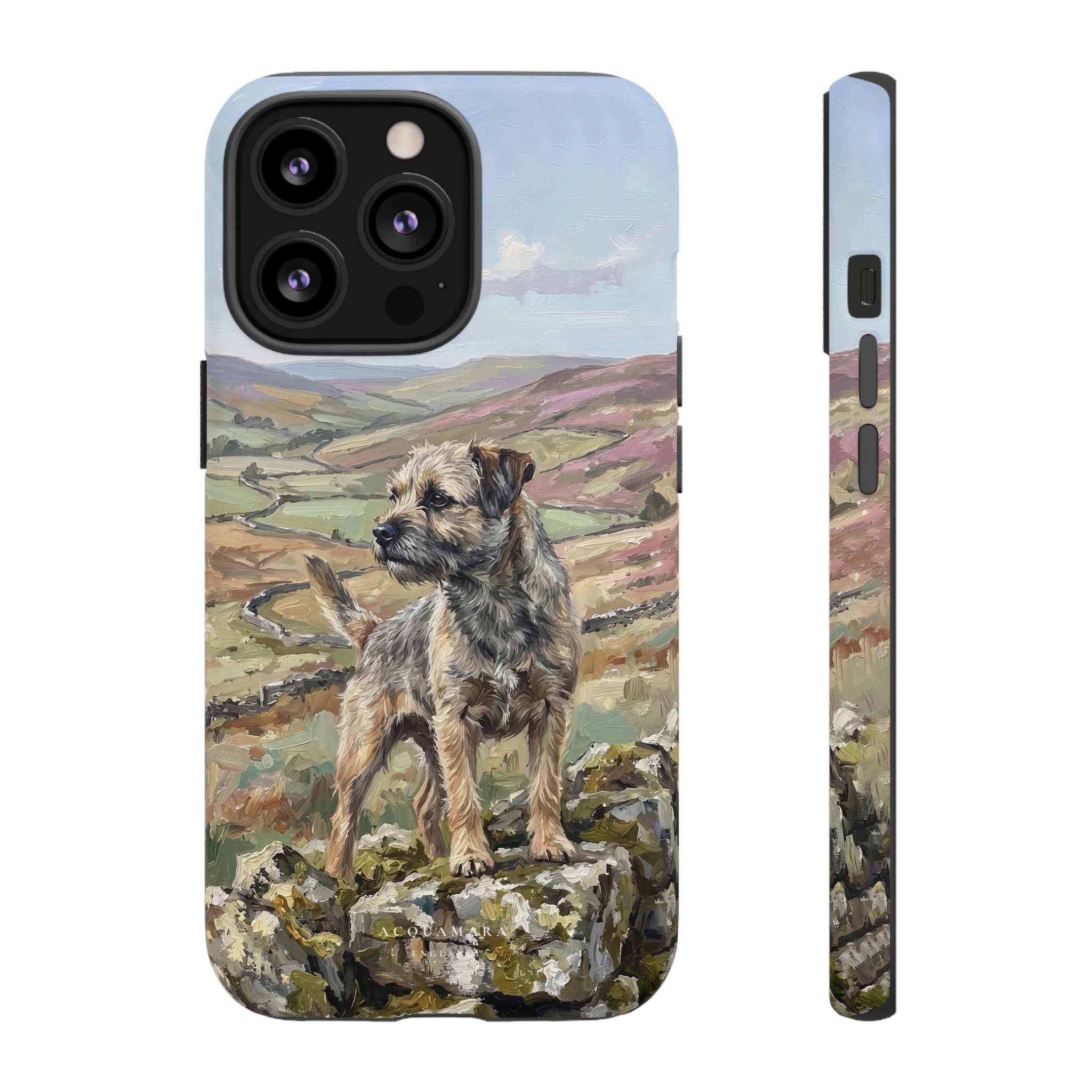 The Border Terrier (Grizzle and Tan)