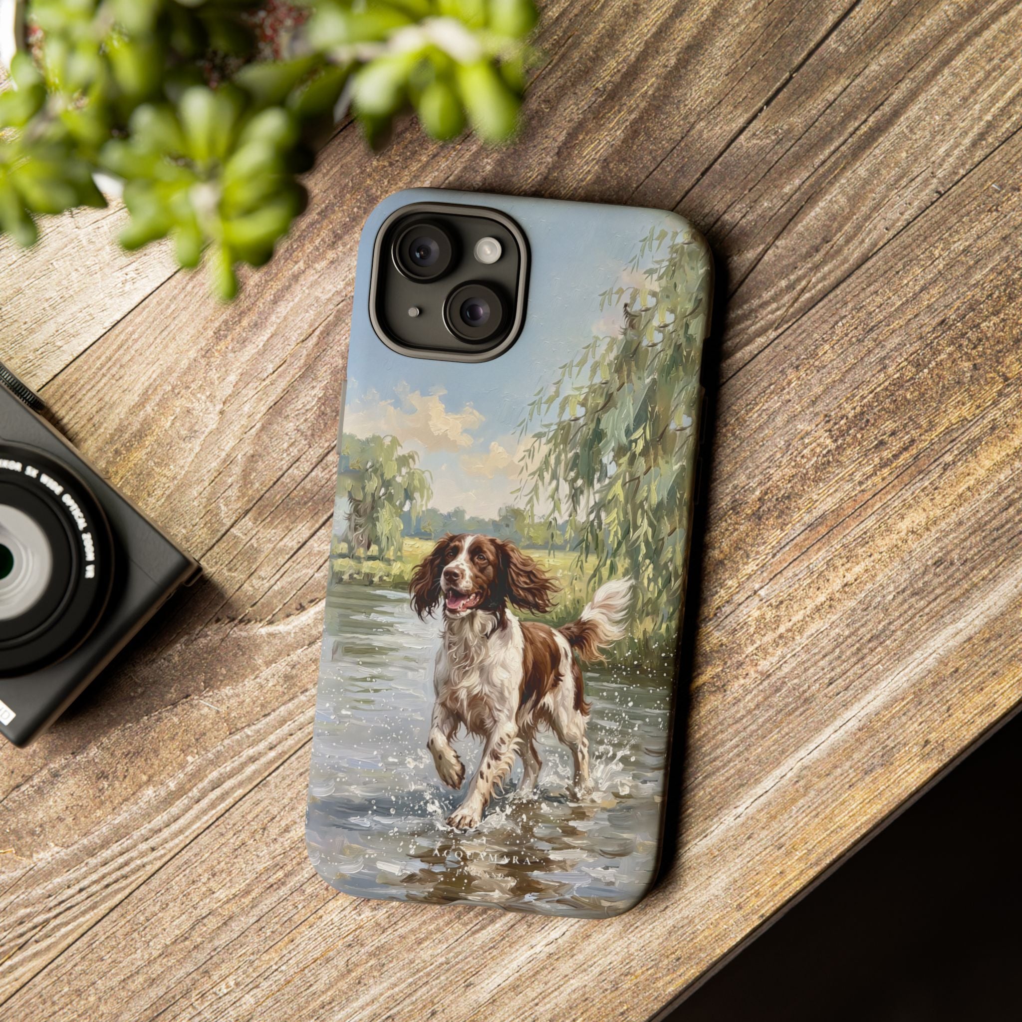 The Springer Spaniel (Liver and White)
