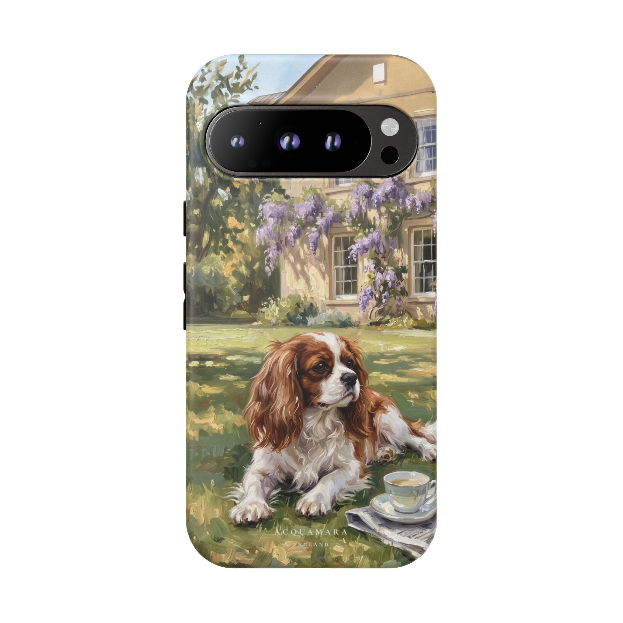 The Cavalier King Charles Spaniel