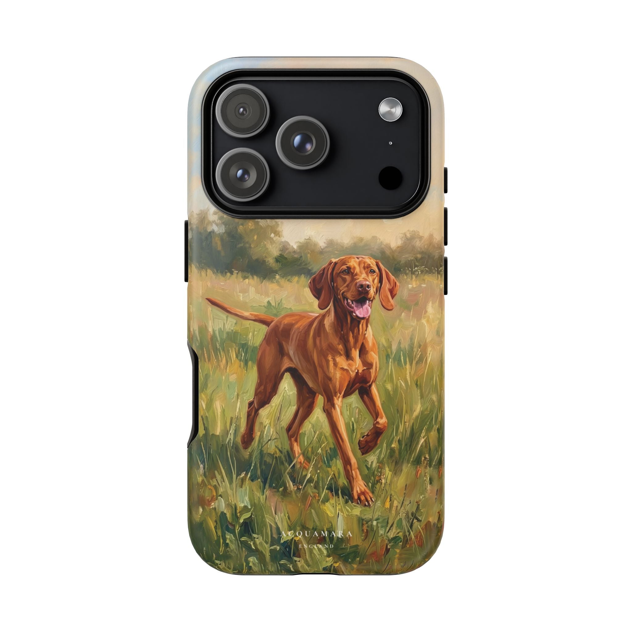 The Hungarian Vizsla