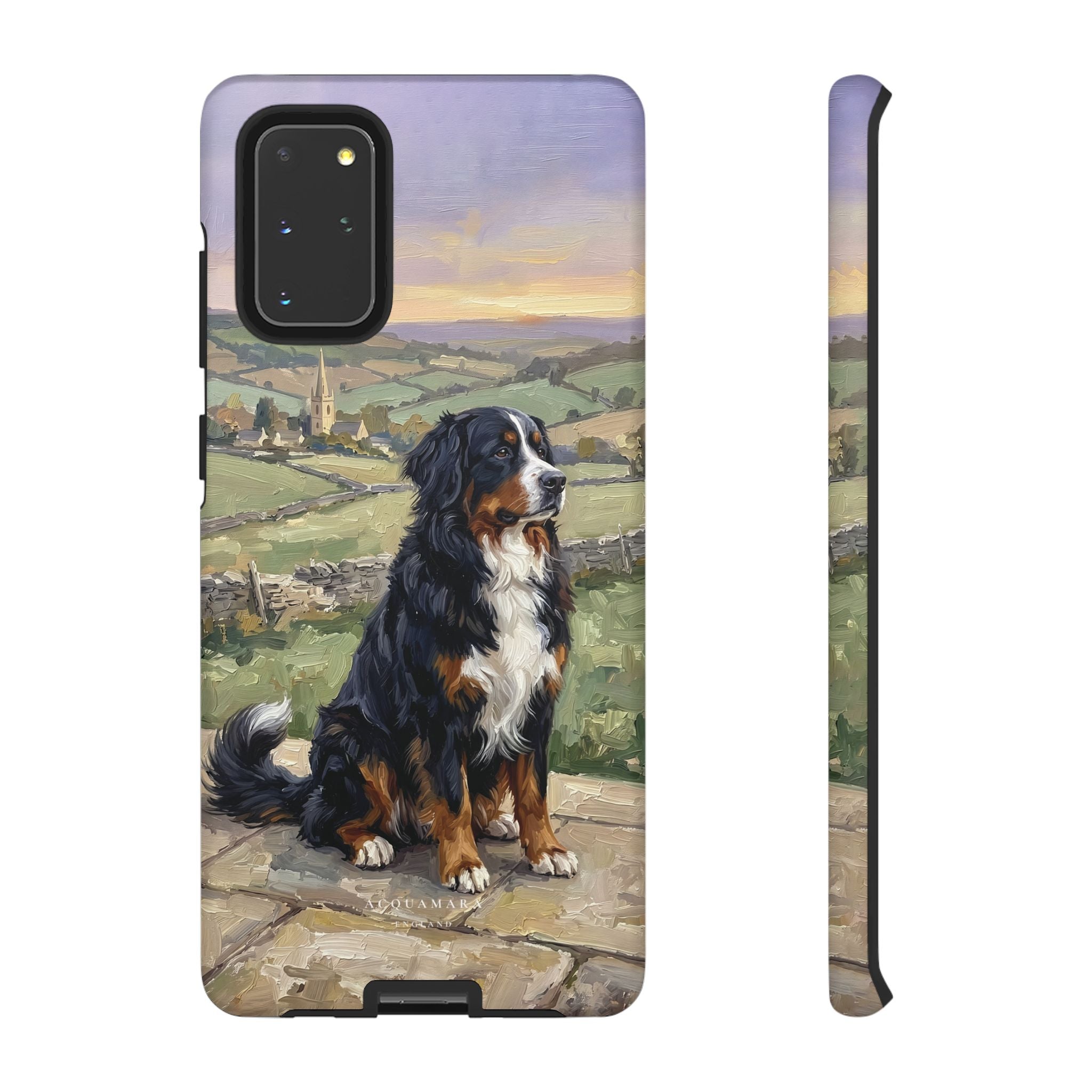 The Bernese Mountain Dog