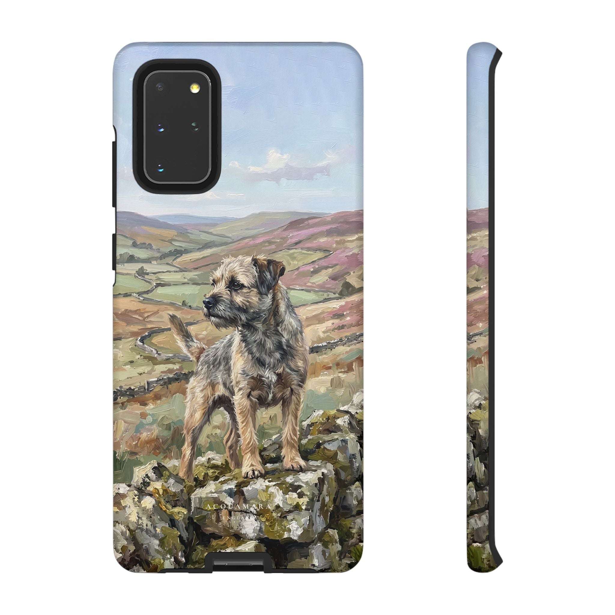 The Border Terrier (Grizzle and Tan)