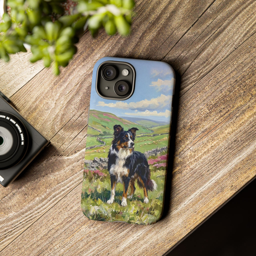 The Border Collie