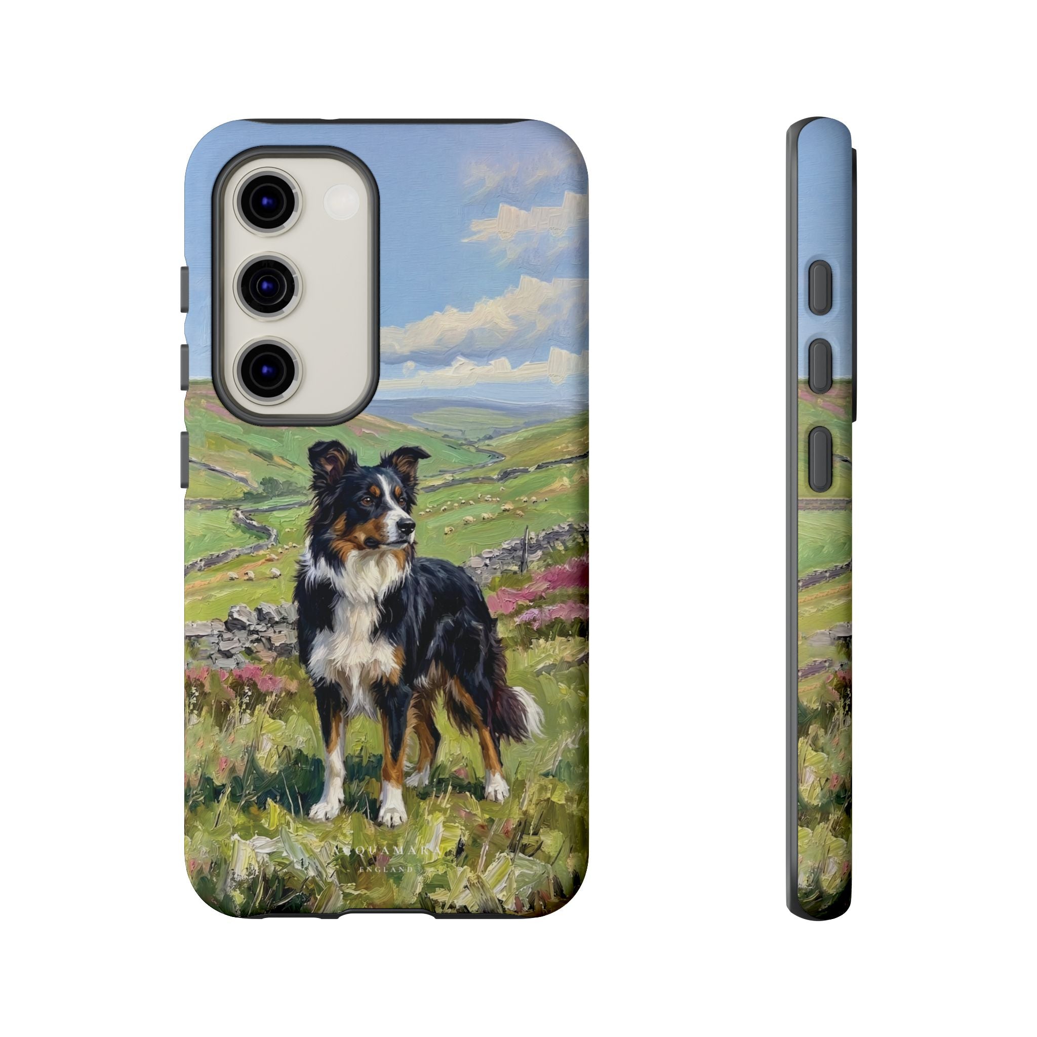 The Border Collie