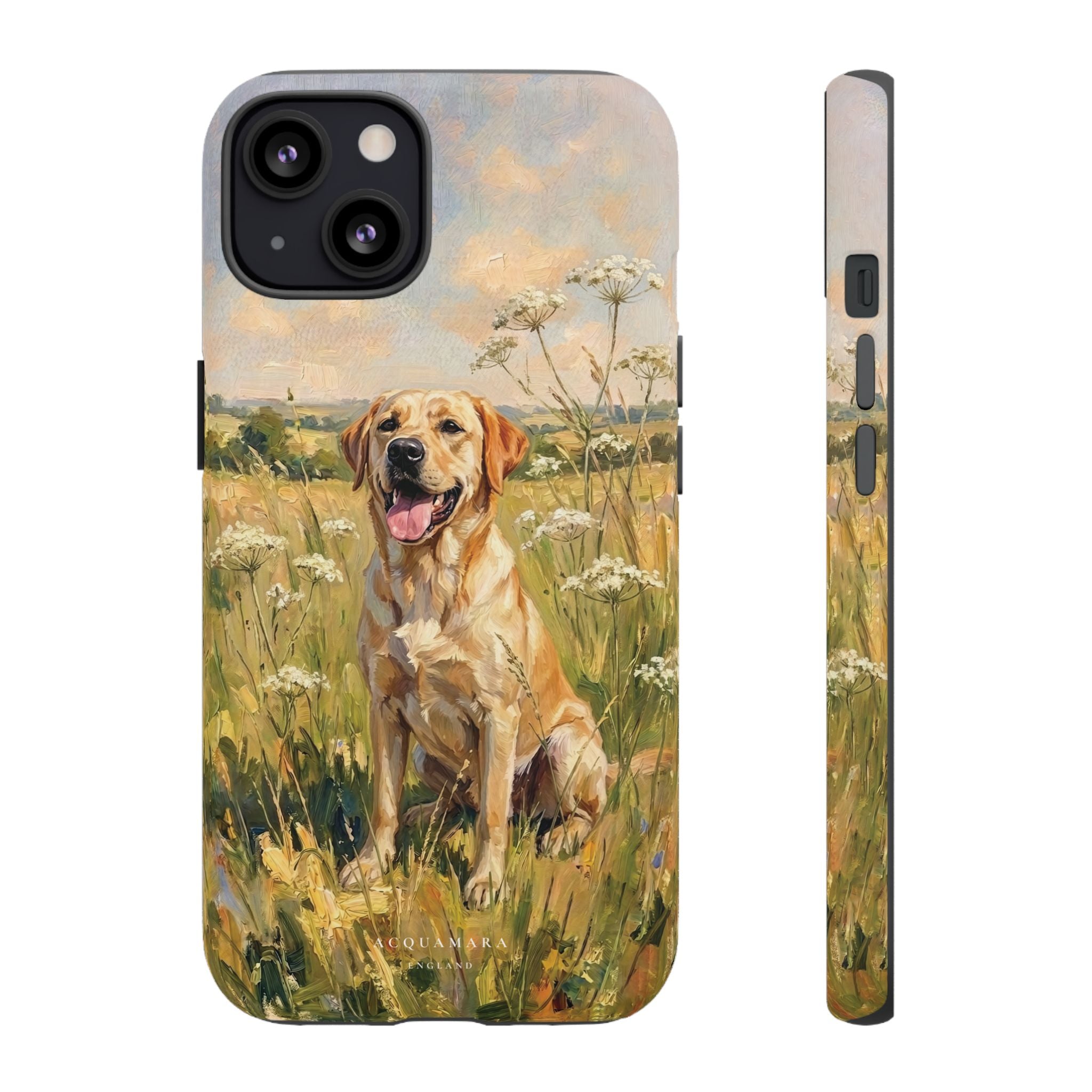 The Labrador (Yellow)