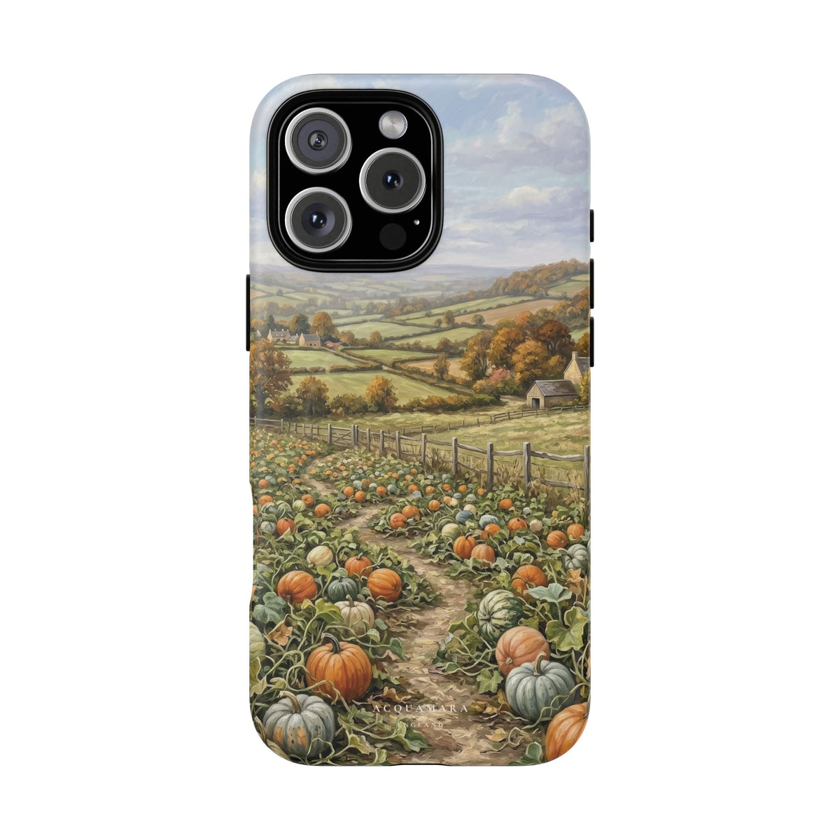 The Pumpkin Field (MagSafe)