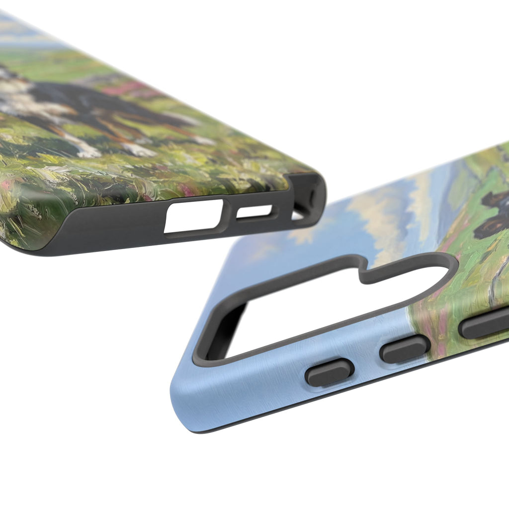 The Border Collie