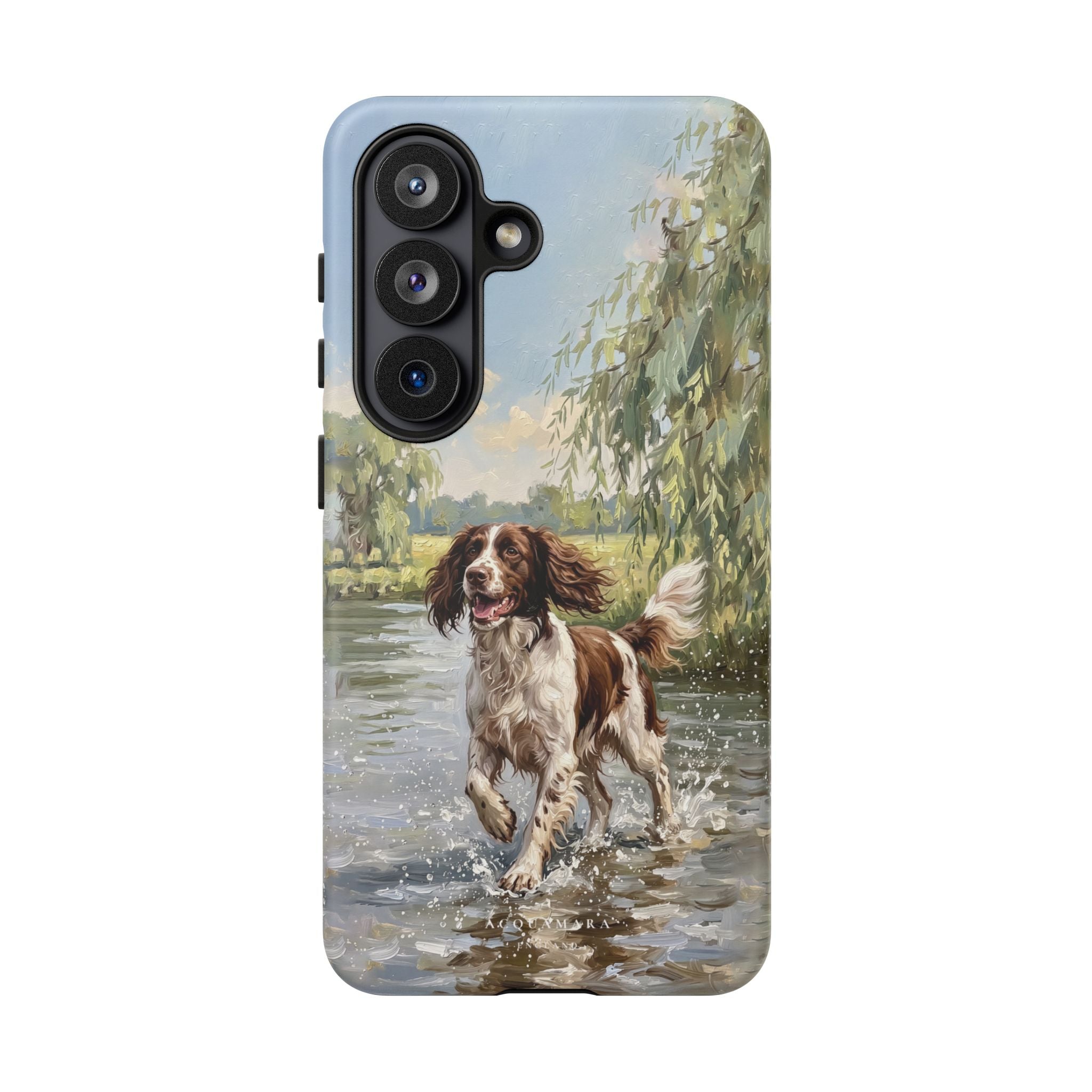 The Springer Spaniel (Liver and White)