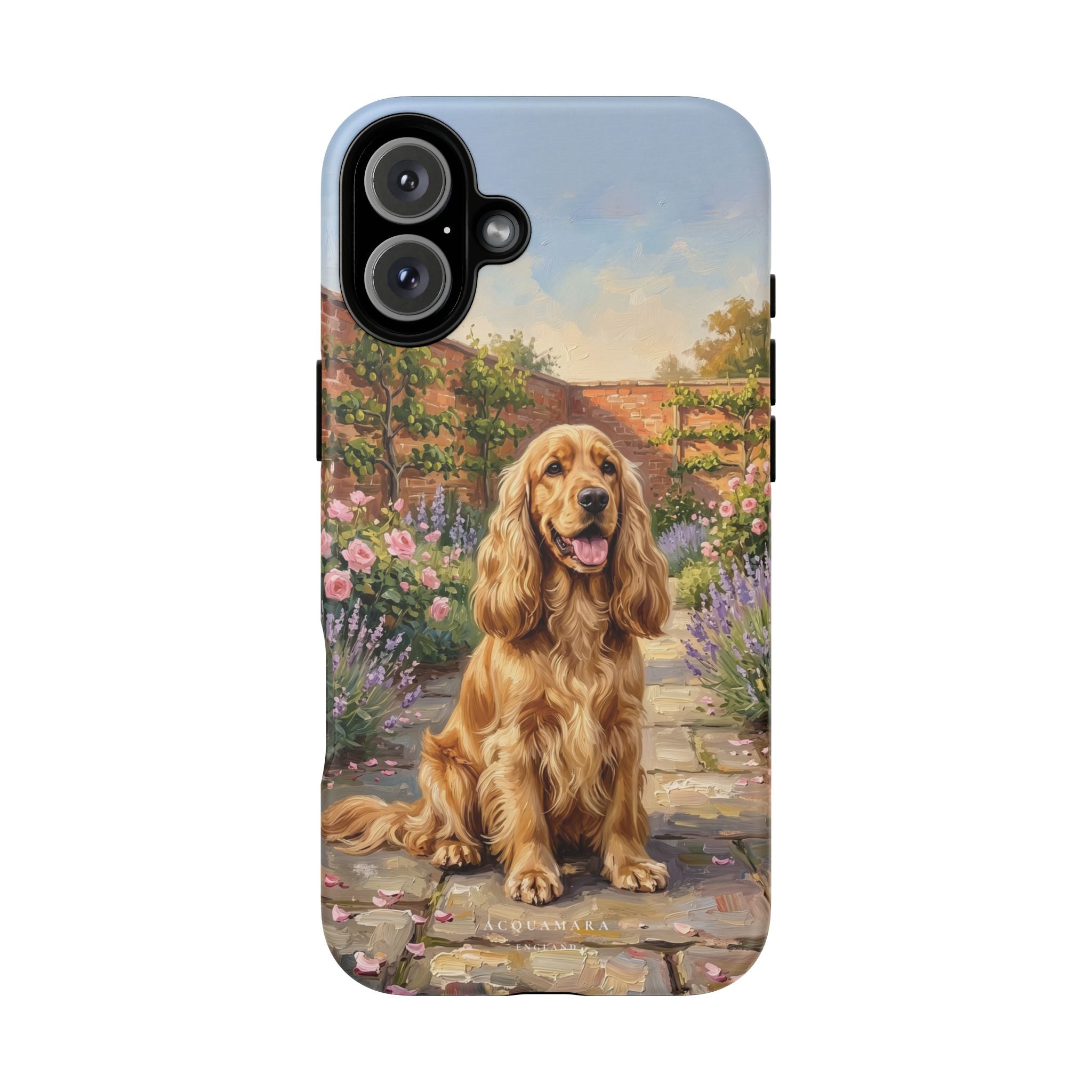 The Show Cocker (Golden)