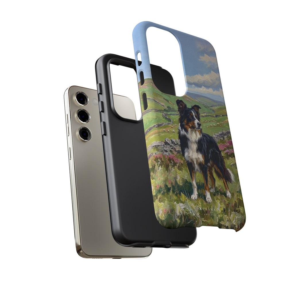 The Border Collie