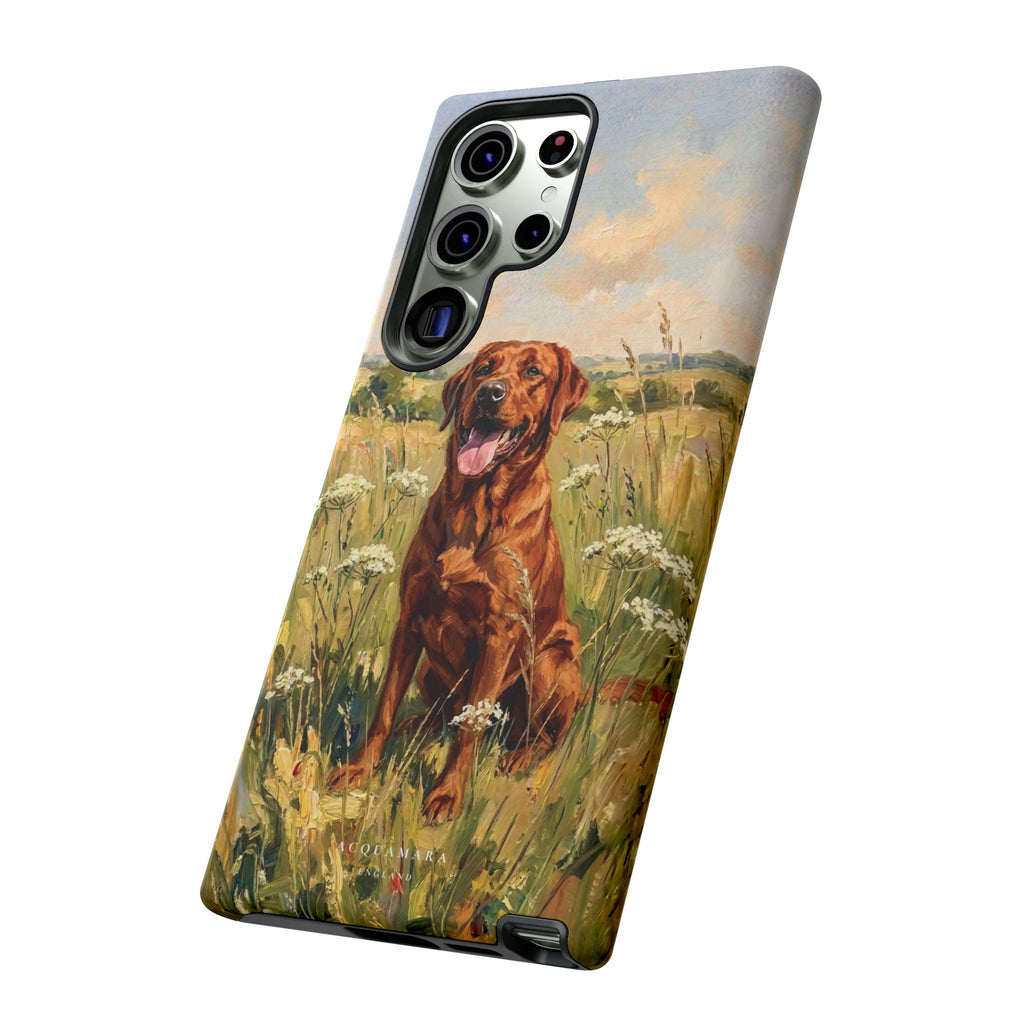 The Labrador (Red)