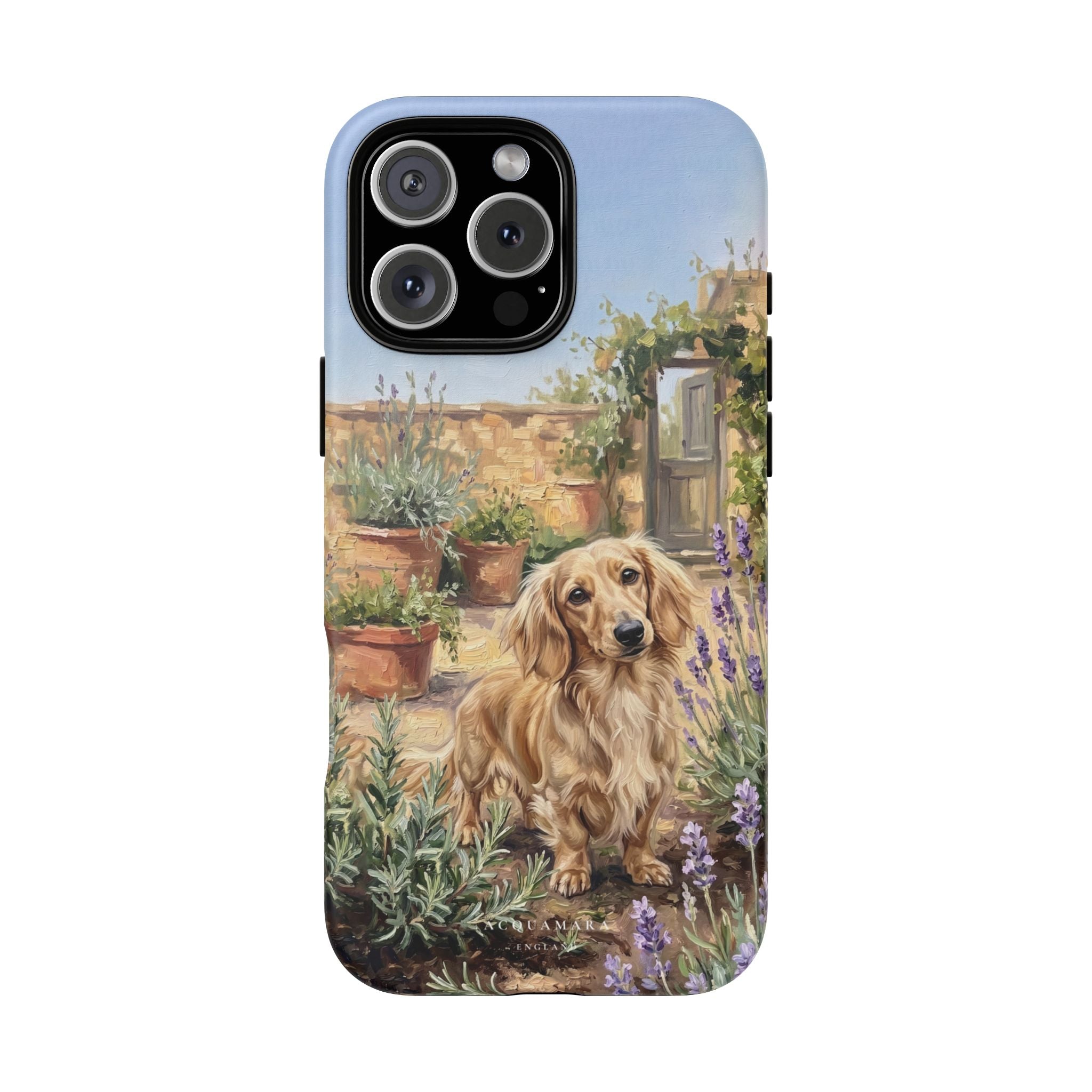 The Dachshund (Blonde long hair)