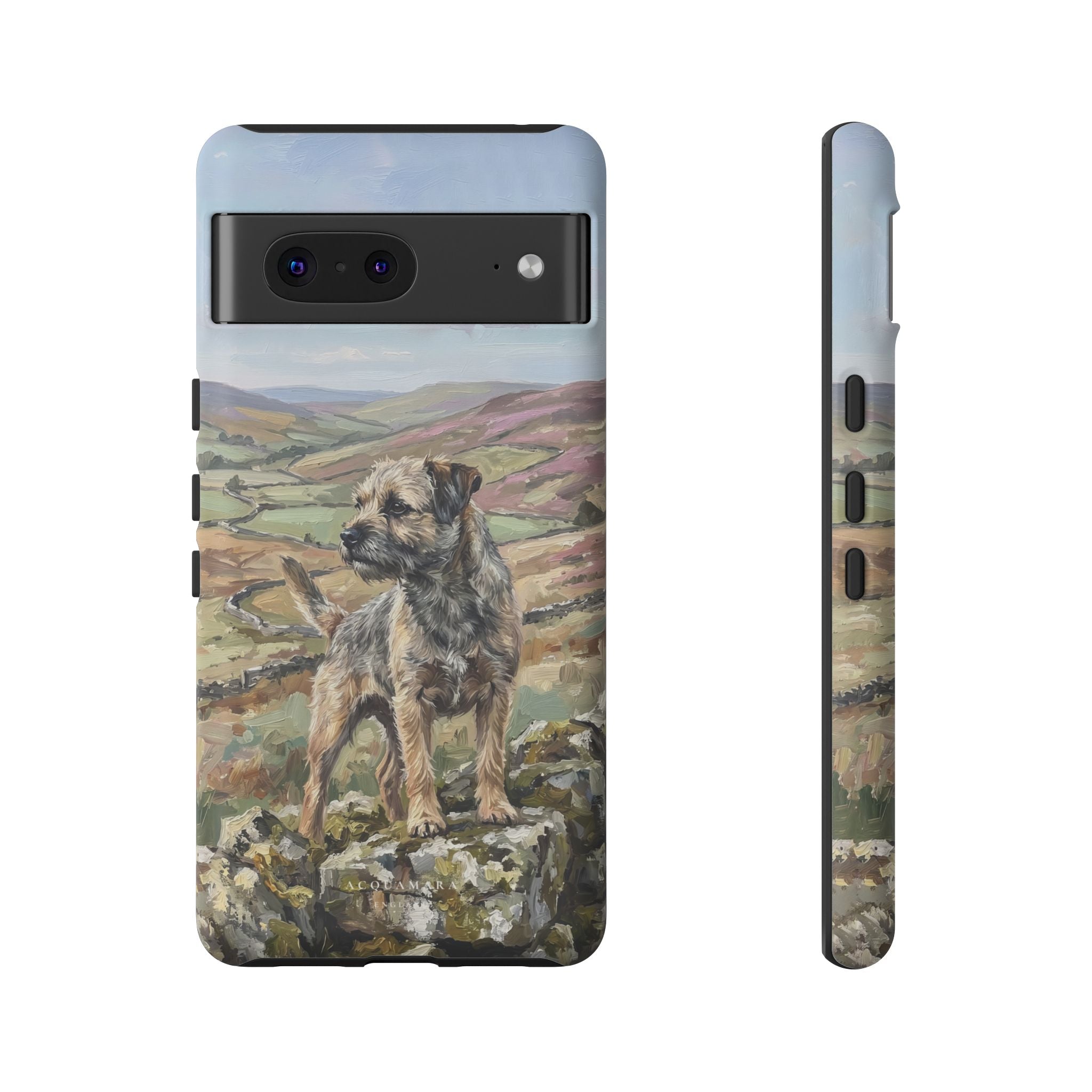 The Border Terrier (Grizzle and Tan)