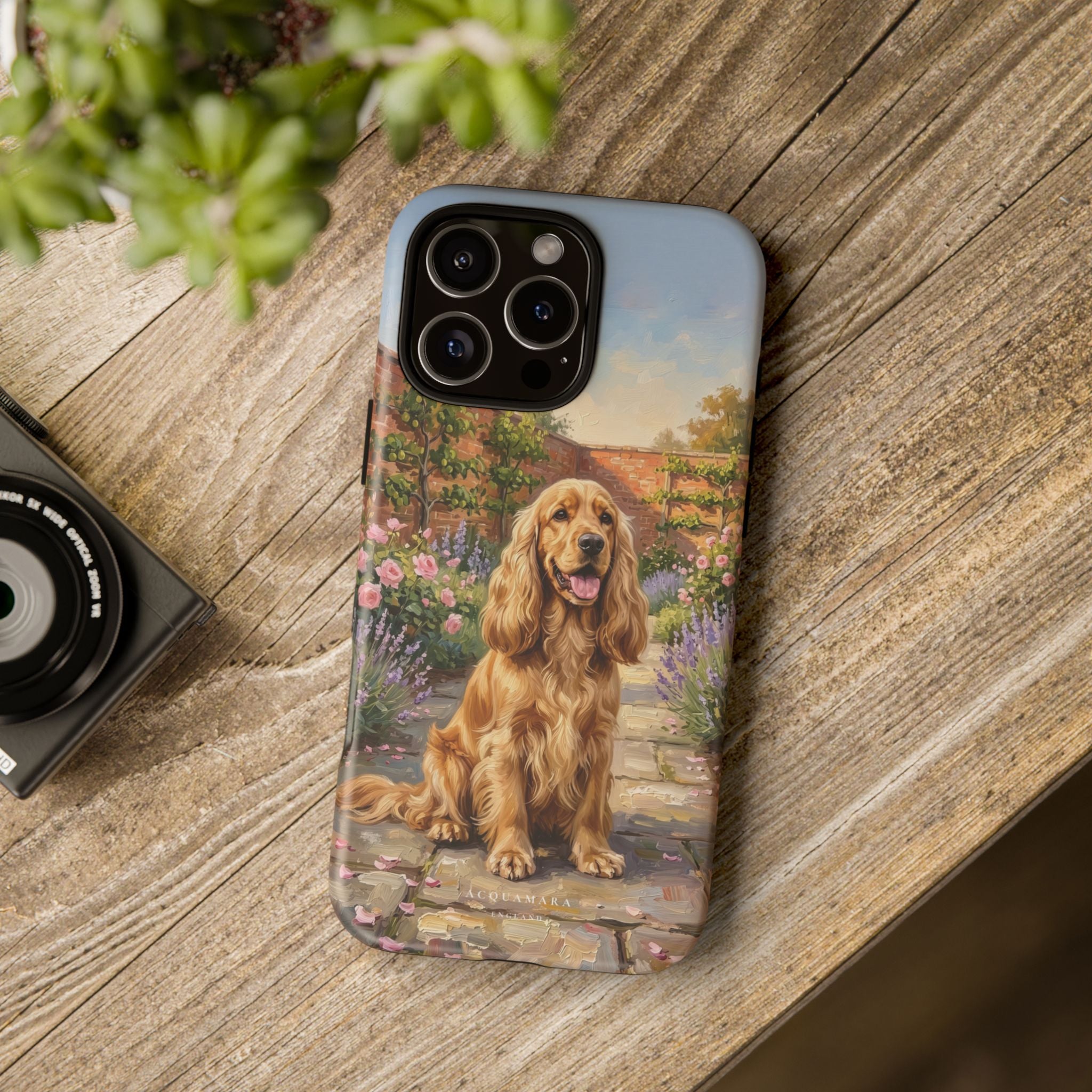 The Show Cocker (Golden)